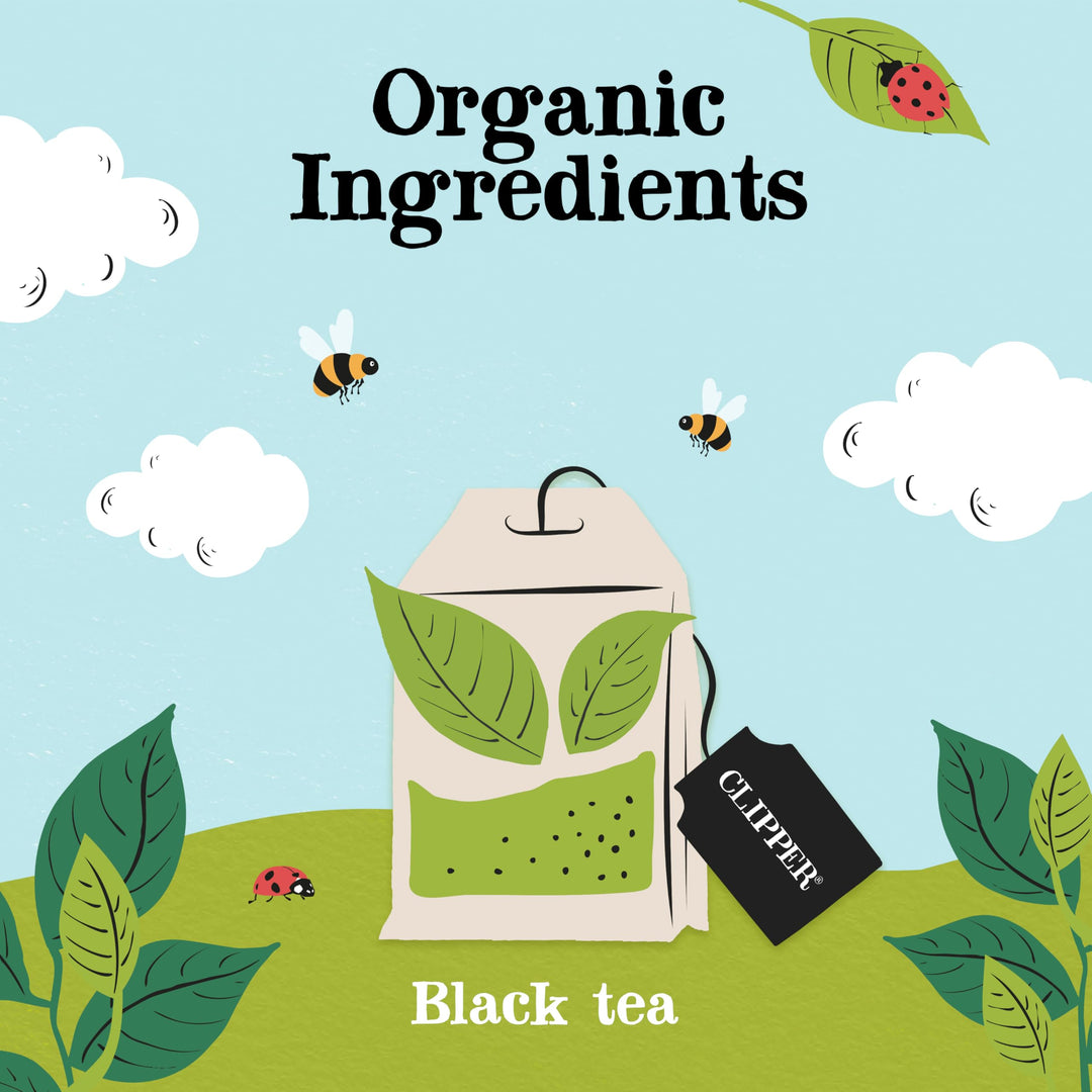 Clipper Organic Everyday Fairtrade Teabags | 80 Black Tea Bags | Unbleached, Biodegradable