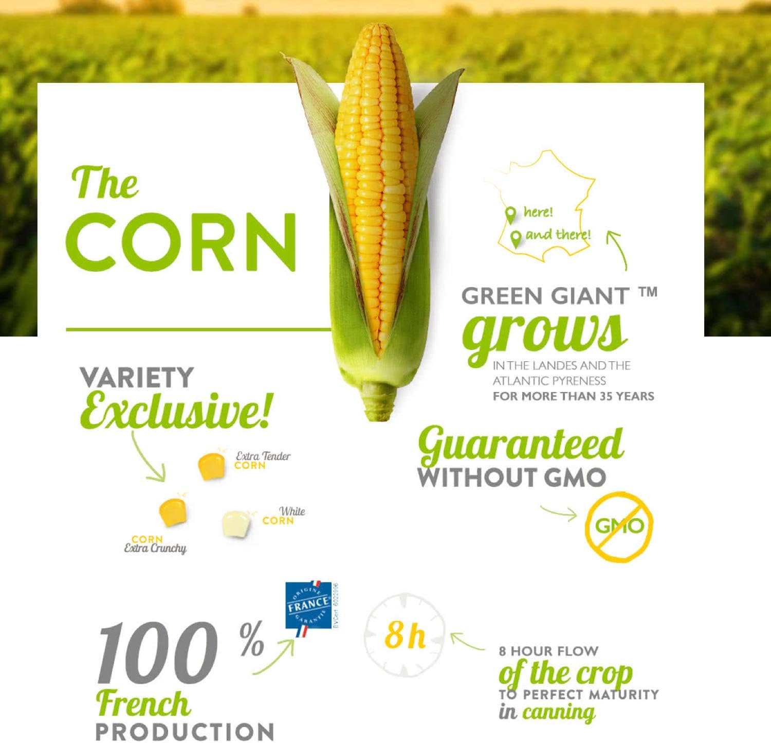 Green Giant - Original Sweetcorn 340g Tinned Corn with No Added Ingredients 7