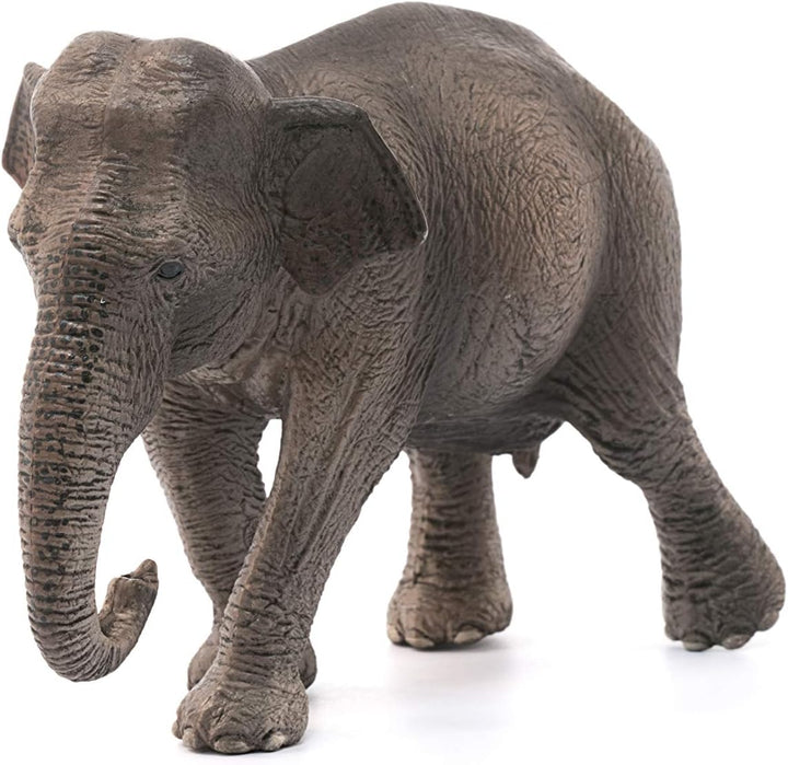 Schleich Wildlife Asian Elephant - Female Animal Figure (14753)