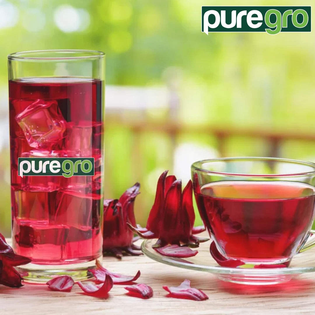 Puregro Hibiscus Flowers Whole Dried | 1kg | Organic Herbal Tea for Infusions