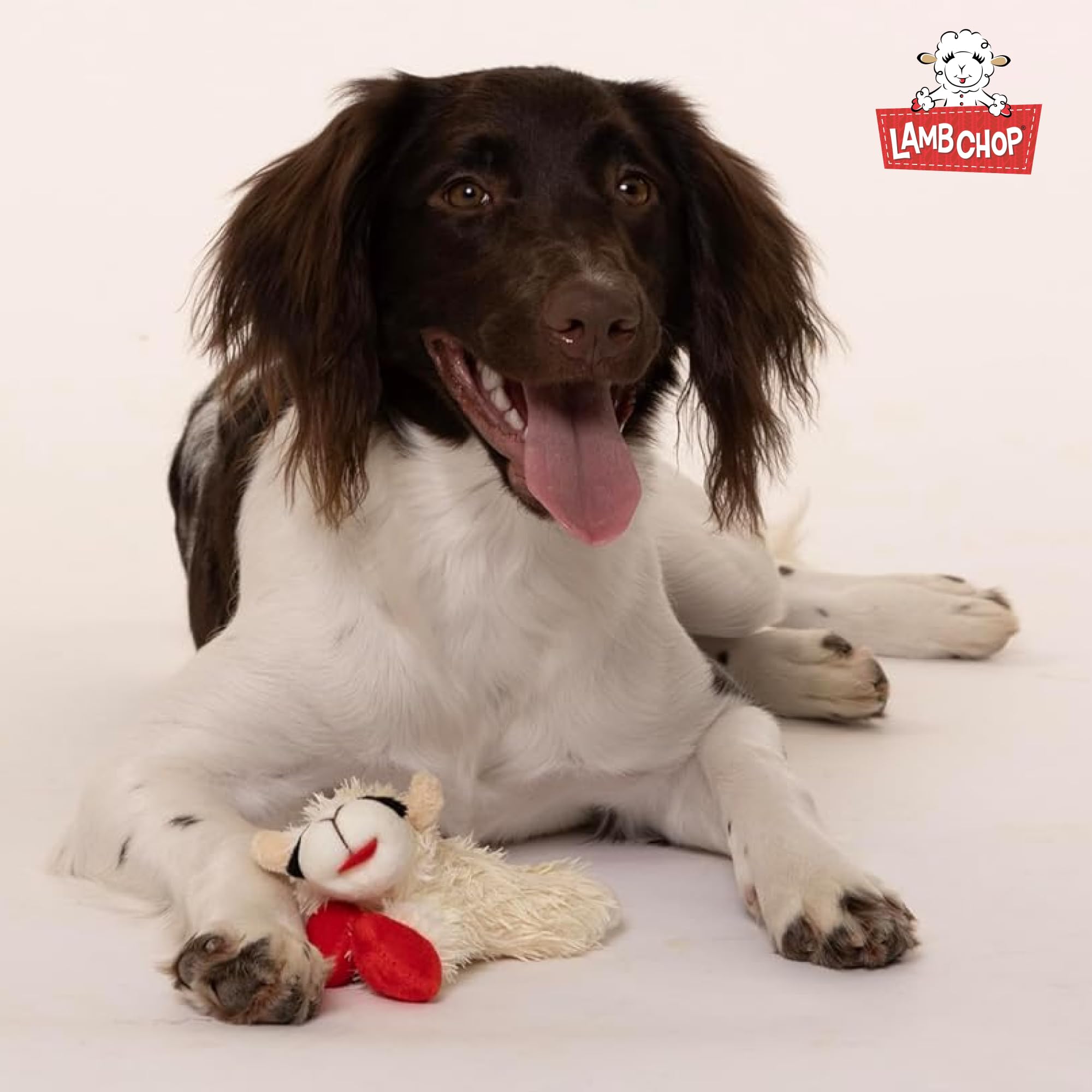 Multipet Lambchop Mini Plush Squeaky Dog Toy - 7 Inches, White, Made In America 9