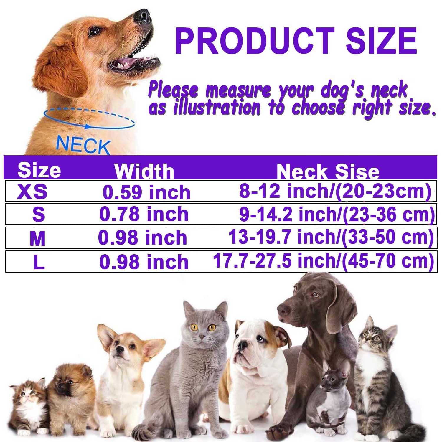 ATETEO Reflective Adjustable Dog Collar with Soft Neoprene - Purple, Size S 3