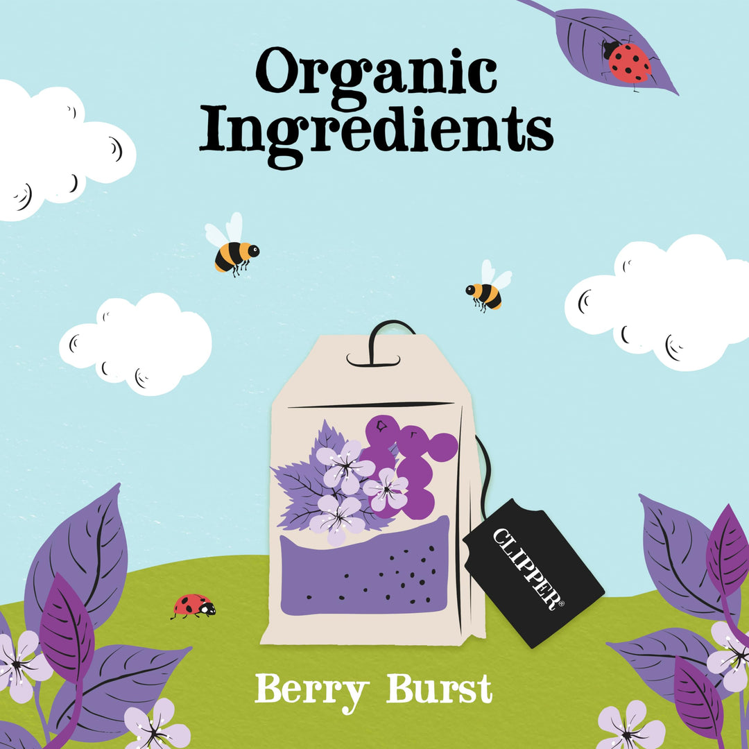 Clipper - Organic Berry Burst Fruit Tea Bags | 150 Enveloped Sachets (6 x 25) | Caffeine-Free Herbal Infusion