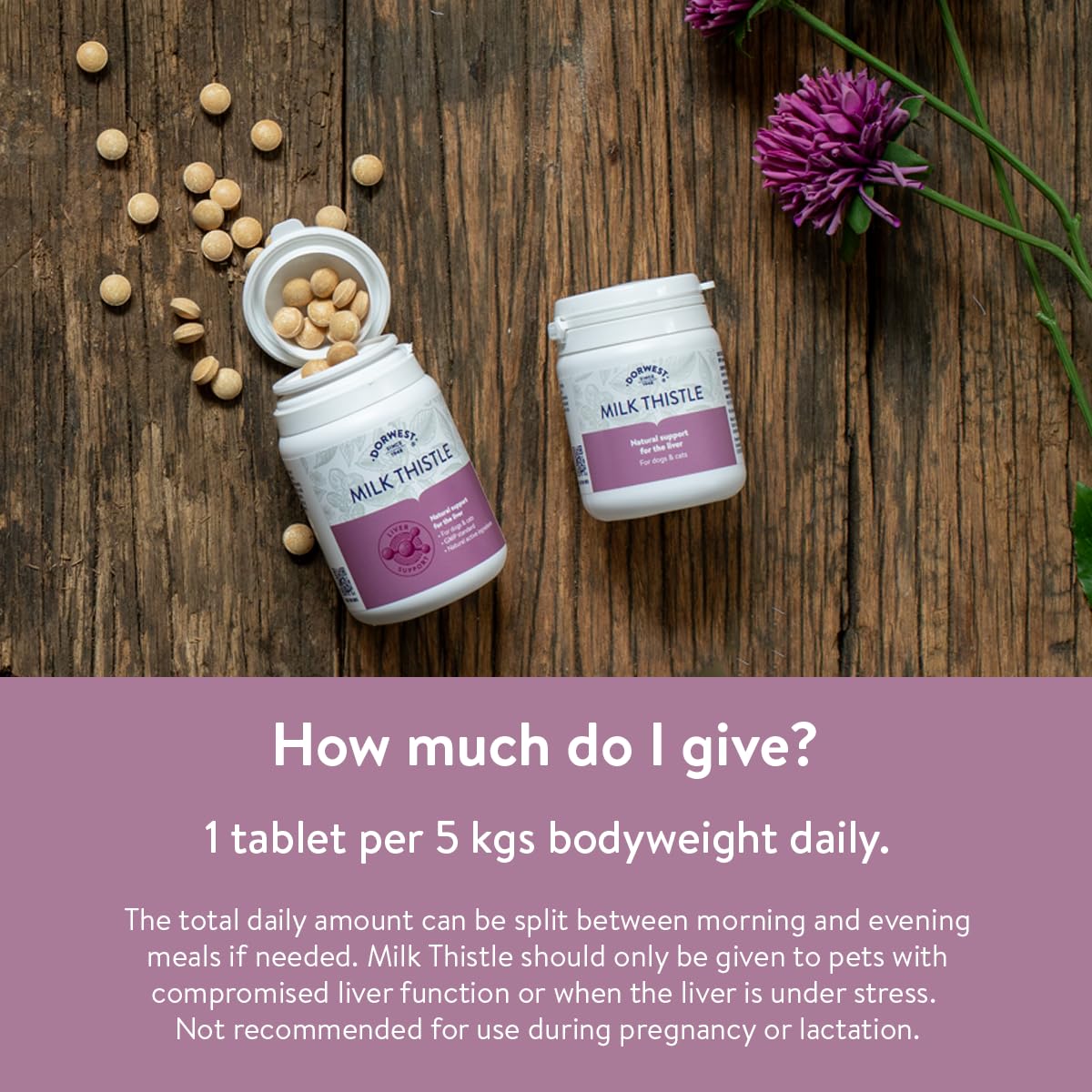 DORWEST HERBS Milk Thistle Tablets for Dogs and Cats - Supports Liver Function | 200 Tablets 5
