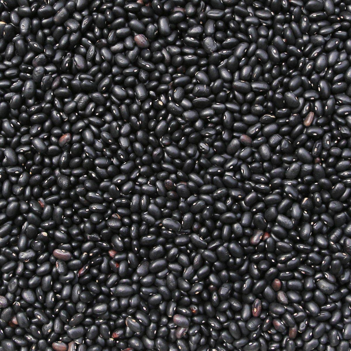 Wholefood Earth Organic Black Turtle Beans 1kg | GMO Free | Vegan | Raw 9