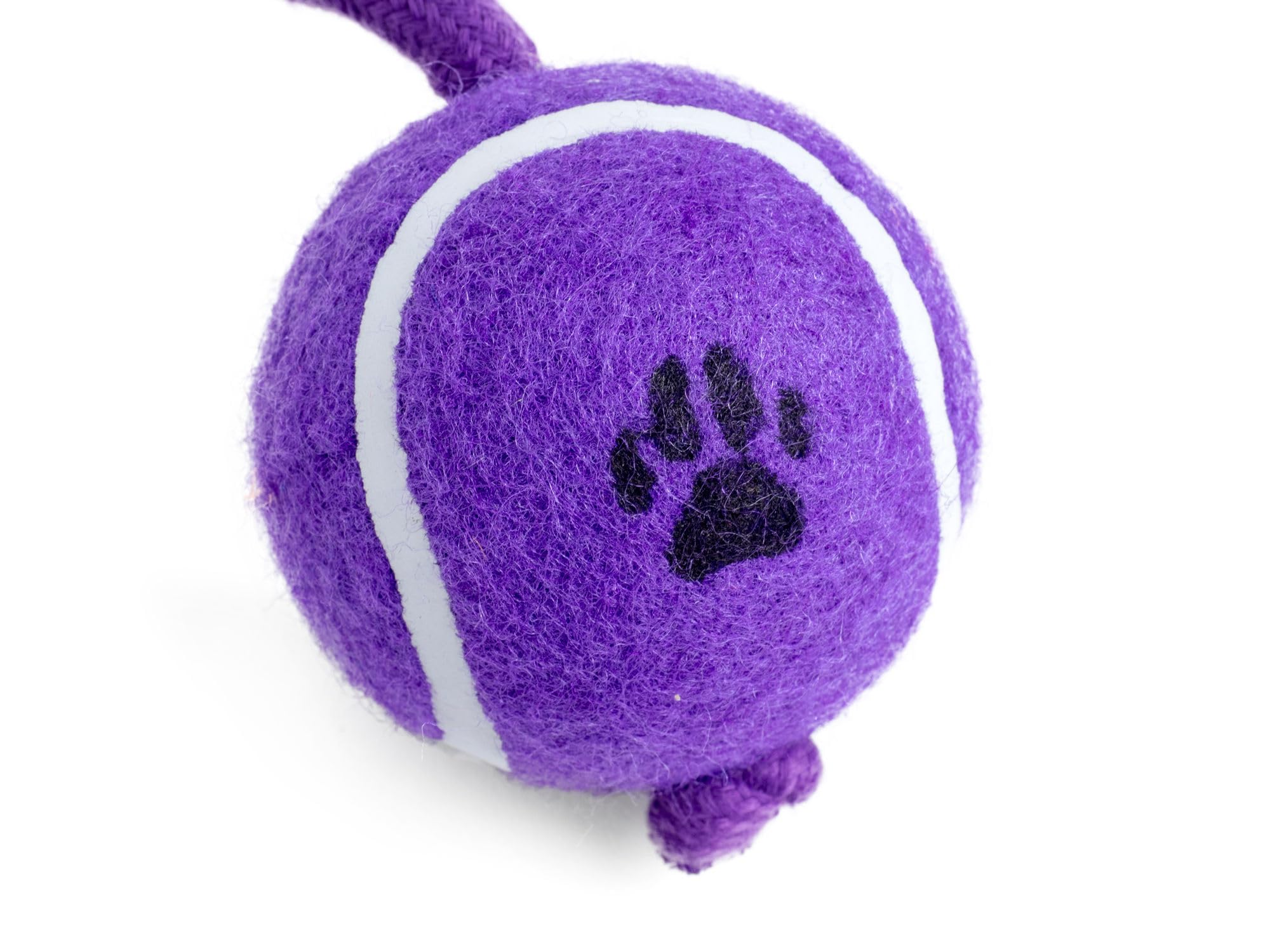 Petface Tennis Ball on Rope Dog Tug Toy for Small Breeds | Interactive Fetch & Chew