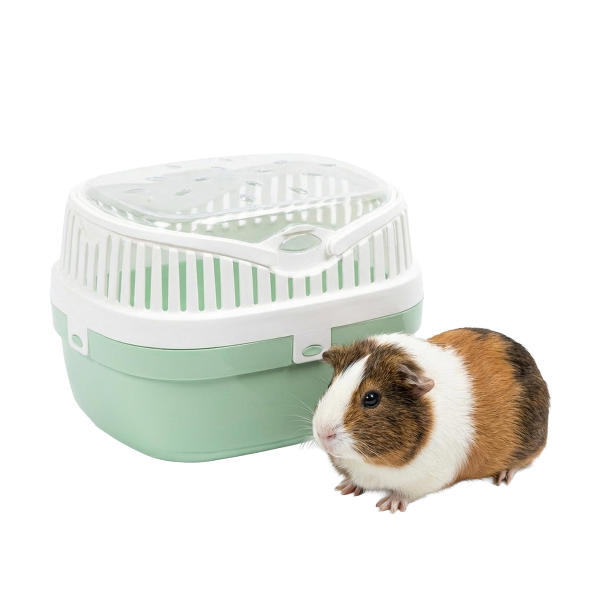 Ferplast ALADINO Medium Guinea Pig and Rodent Carrier - 2 kg Max Capacity - Blue