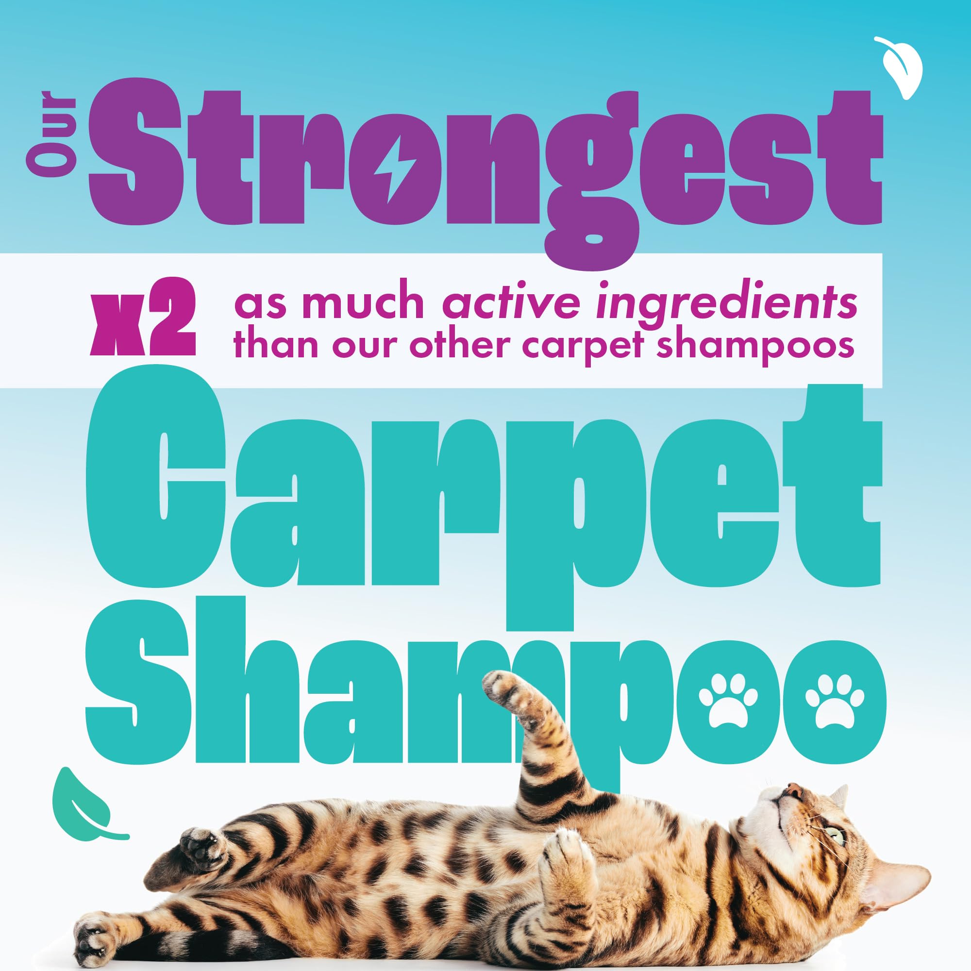 Dirtbusters Pet Pro Carpet Cleaner Shampoo - Concentrated 1L, Makes 100L, Low pH Formula 6