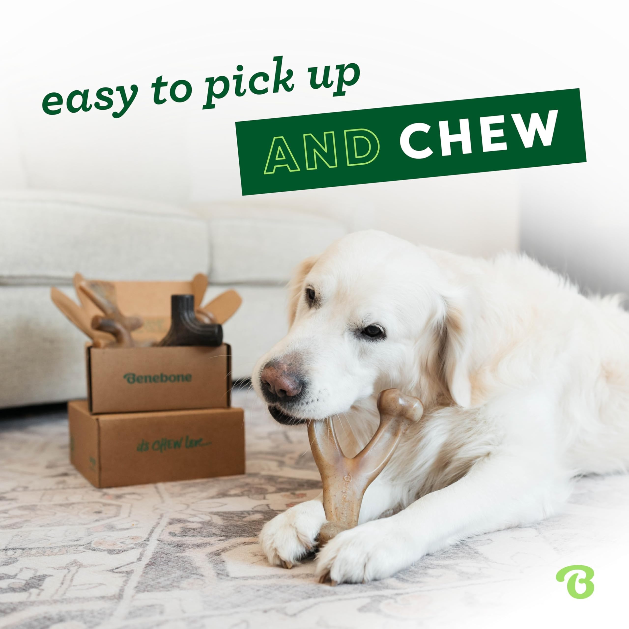 Benebone Holiday 4-Pack Durable Dog Chew Toys for Aggressive Chewers | Real Bacon, Salmon & Maple Flavors