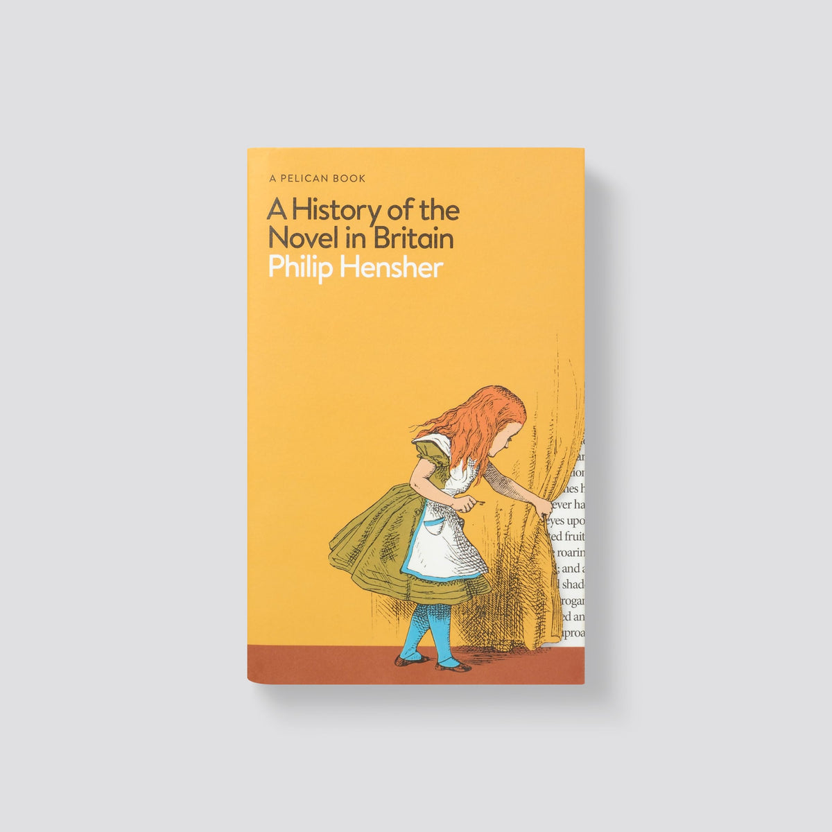 Penguin Press A History of the Novel in Britain - Literary Theory & Movements | Hardcover | 704 Pages