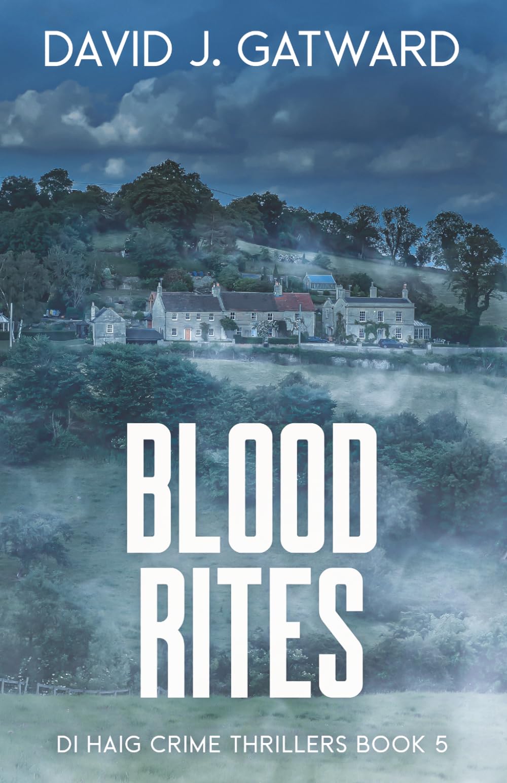 Blood Rites (DI Haig Crime Thrillers, Book 5) by David J. Gatward | Paperback