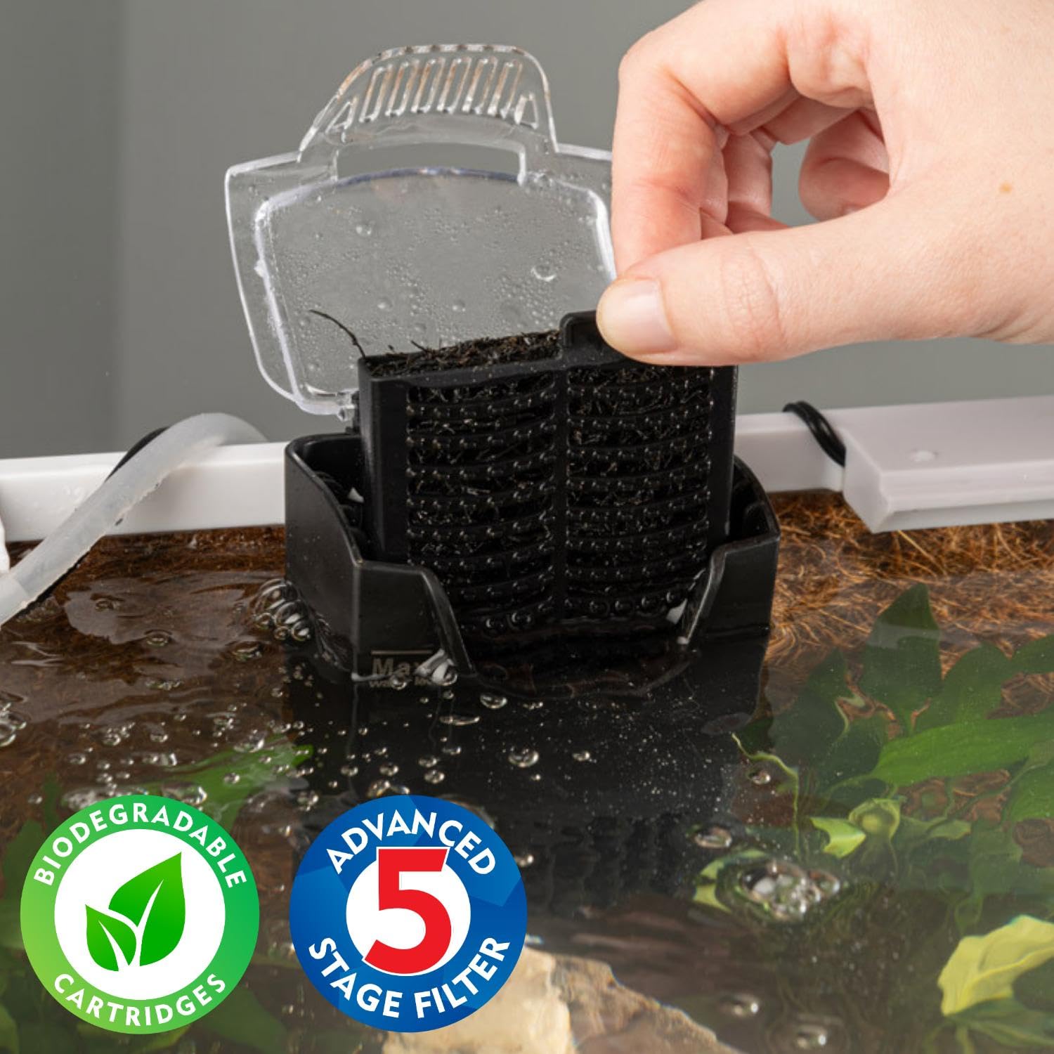 Interpet CF1 3 Month Filter Service Pack - Clears Water & Reduces Algae 2