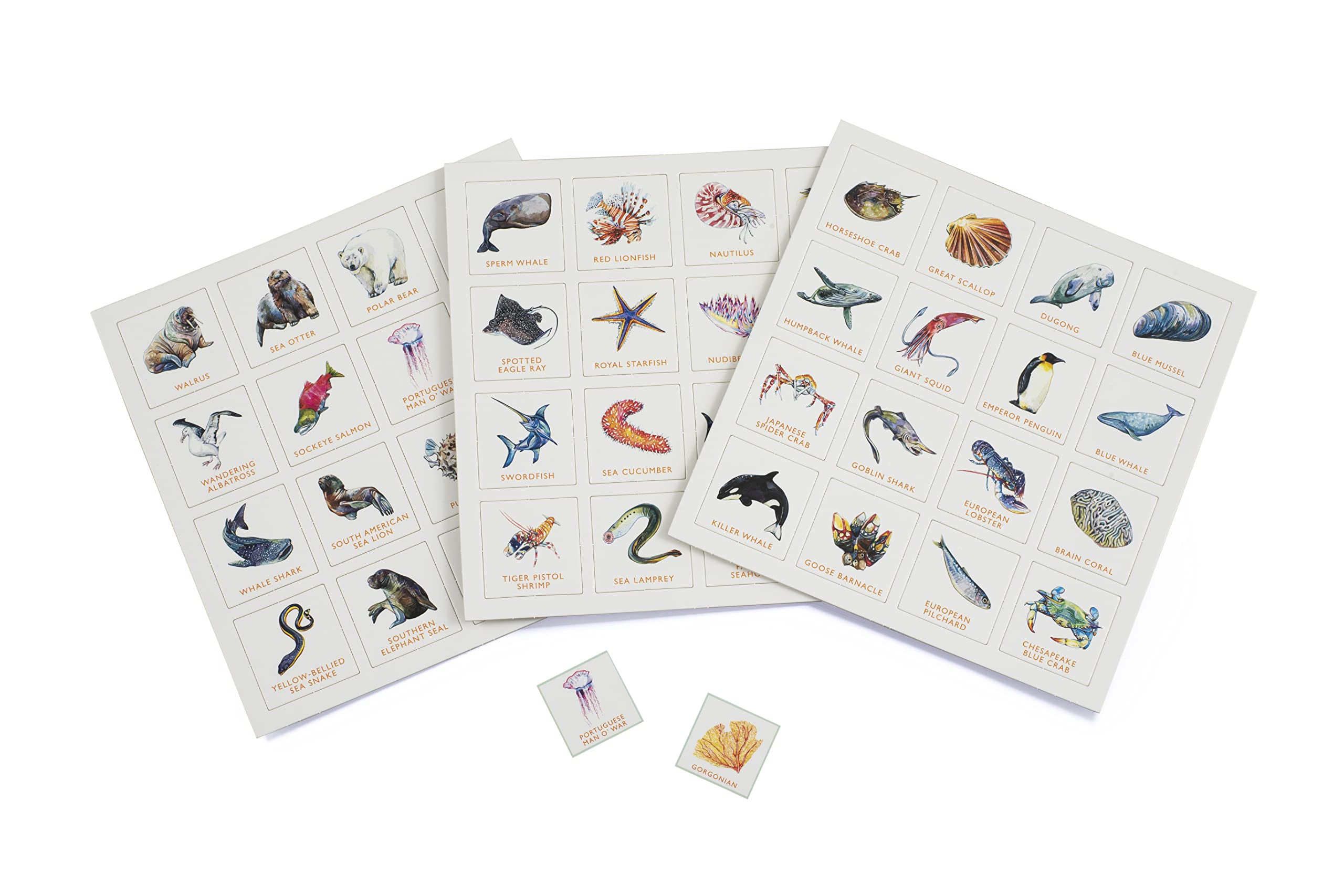 Laurence King Ocean Bingo - 64 Species Game | Ages 4-8 | Cardstock 6