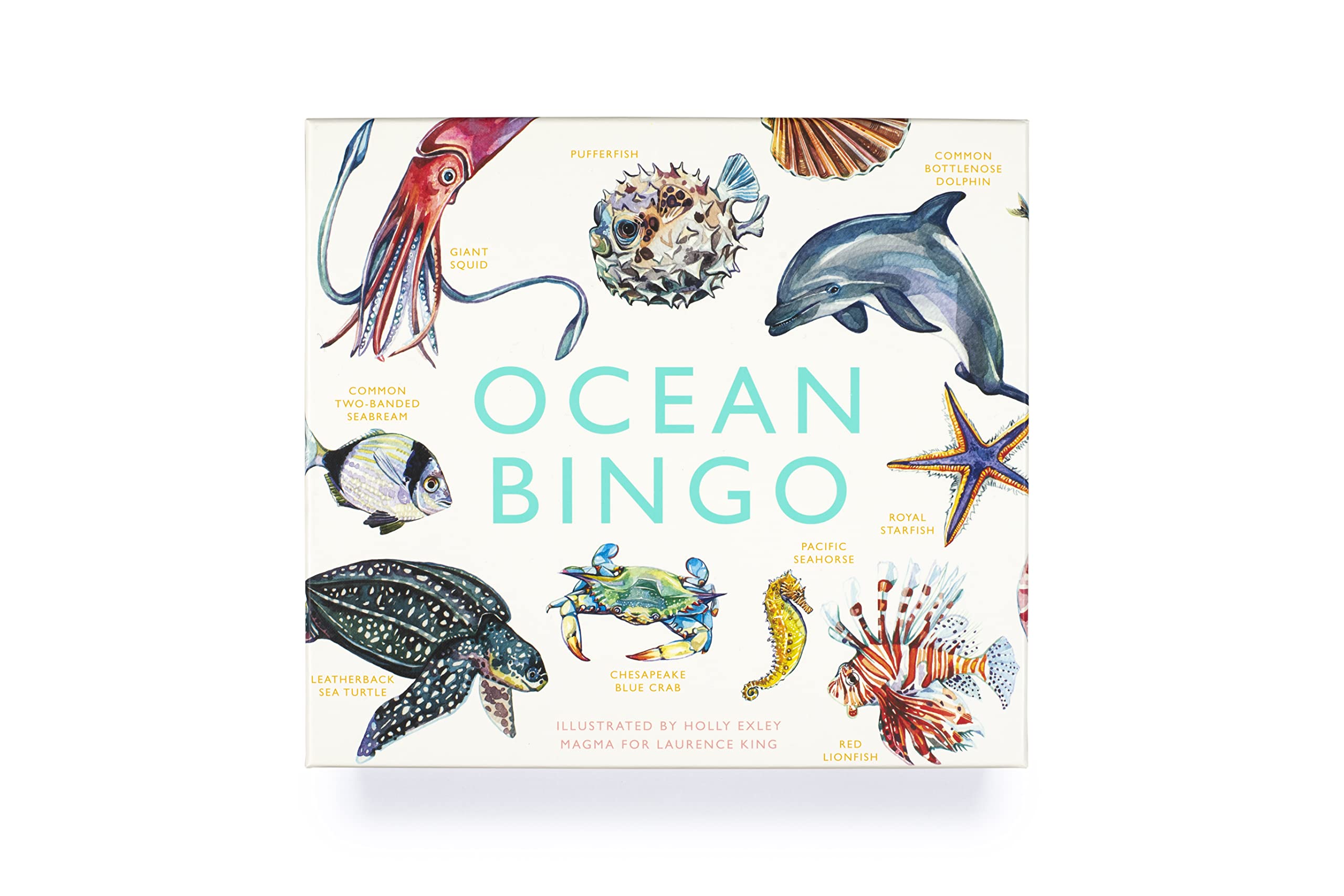 Laurence King Ocean Bingo - 64 Species Game | Ages 4-8 | Cardstock 2