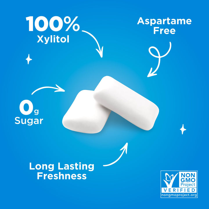PUR - Peppermint Chewing Gum (55 Pieces, Sugar-Free, Xylitol-Sweetened)