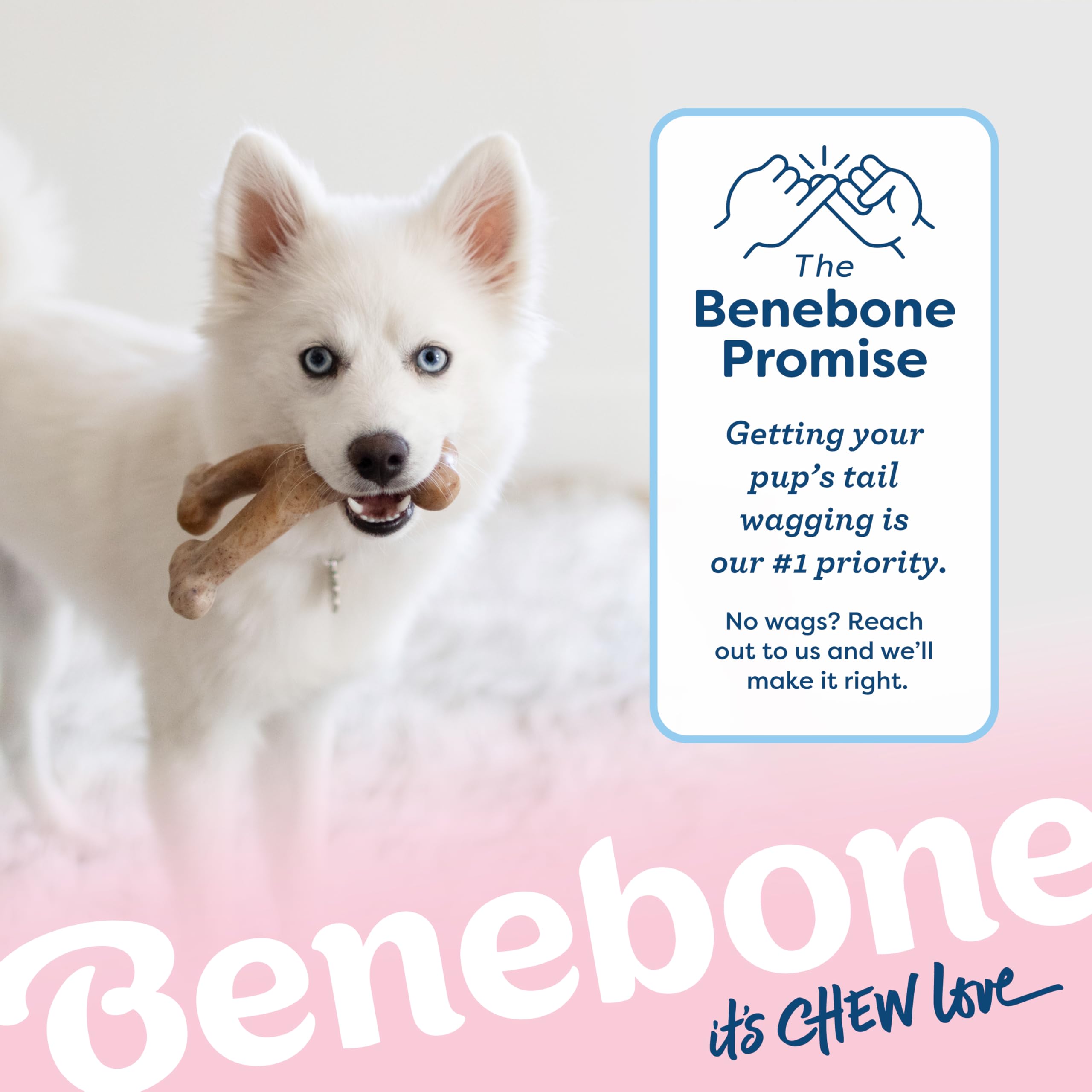 Benebone Puppy Wishbone Dog Chew Toy - Real Bacon Flavor | Medium Size | Heavy Duty Nylon 6