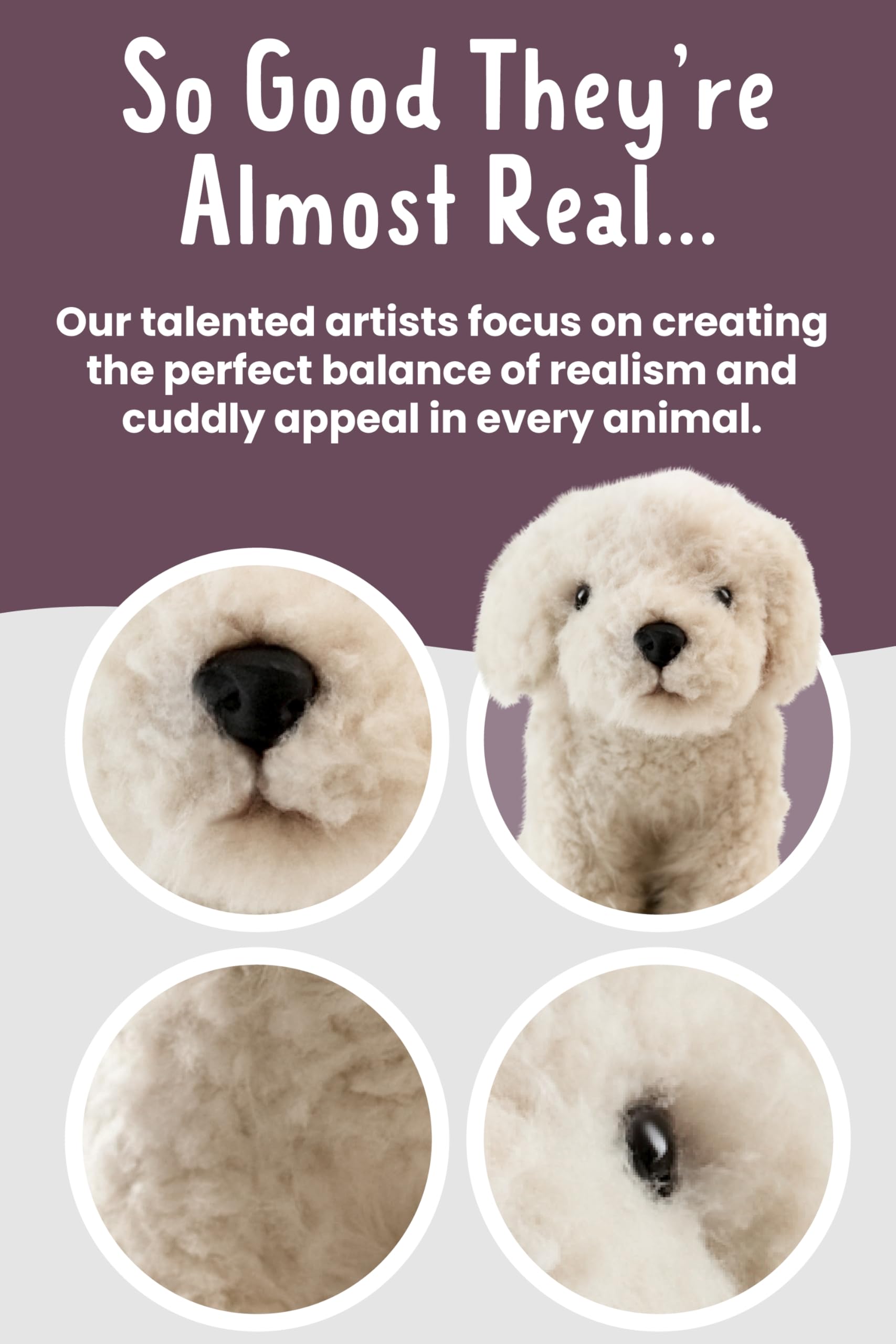 Living Nature Labradoodle Stuffed Animal - 25cm Plush Toy with Educational Tag 3