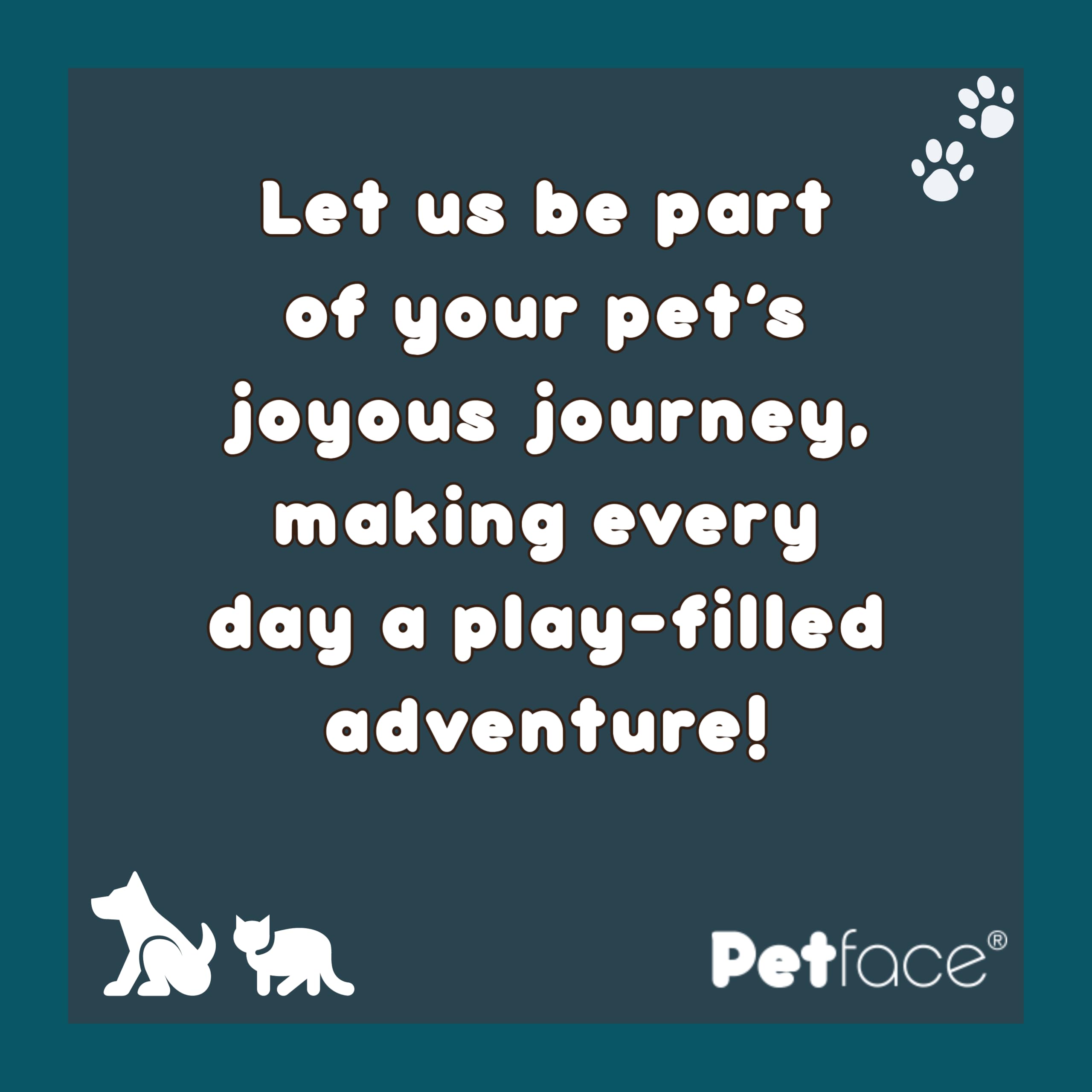 Petface Large Ball Launcher Dog Toy | Portable | Durable Design 6