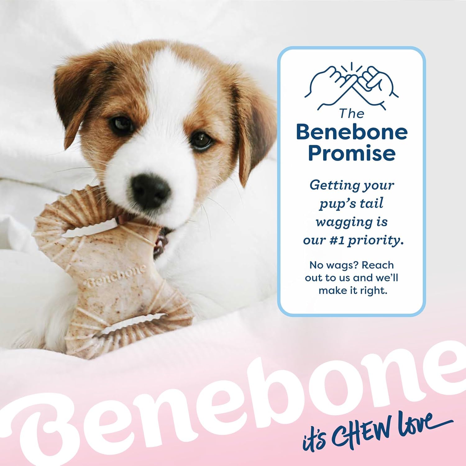 Benebone Puppy Tiny 2-Pack Dental Chew & Wishbone | Real Bacon Flavor | Heavy Duty Nylon 6