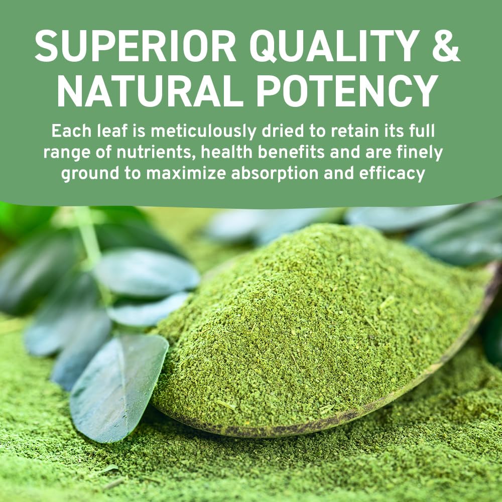 HANDPICK Moringa Powder (500g) - Pure Moringa Oleifera Leaves | Non-GMO, Gluten-Free | Resealable Pouch for Smoothies, Tea & Cooking