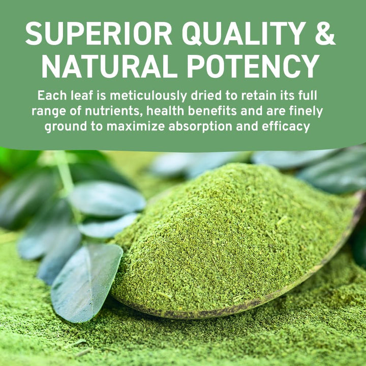 HANDPICK Moringa Powder (500g) - Pure Moringa Oleifera Leaves | Non-GMO, Gluten-Free | Resealable Pouch for Smoothies, Tea & Cooking