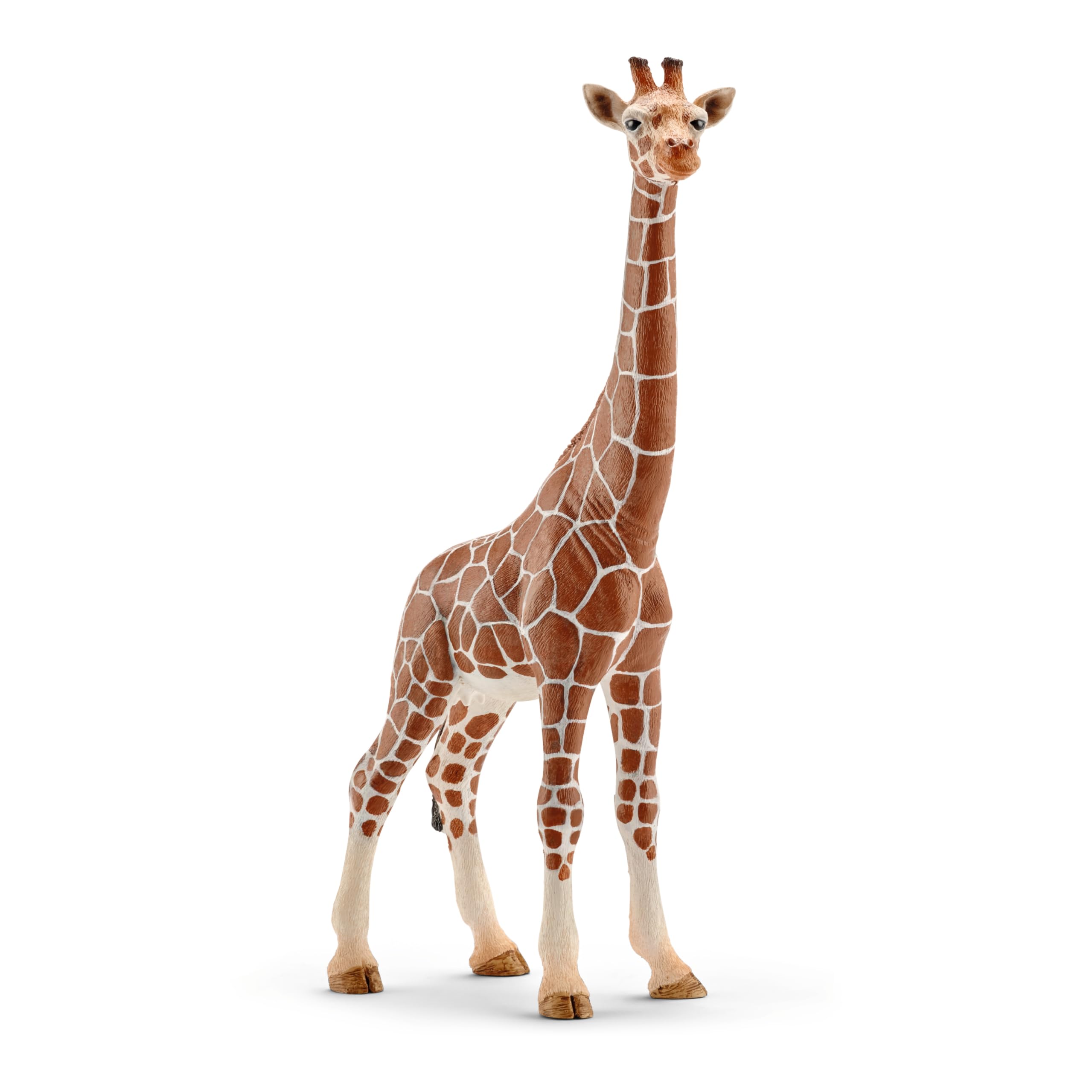 Schleich Wild Life - 5PC African Animal Toy Playset with Lion, Elephant, Monkey, Alligator & Giraffe 3