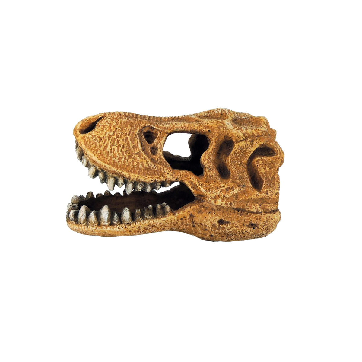CLASSIC T-Rex Dinosaur Skull Aquarium Ornament - Freshwater Safe, Realistic Detail, Fish Hideout