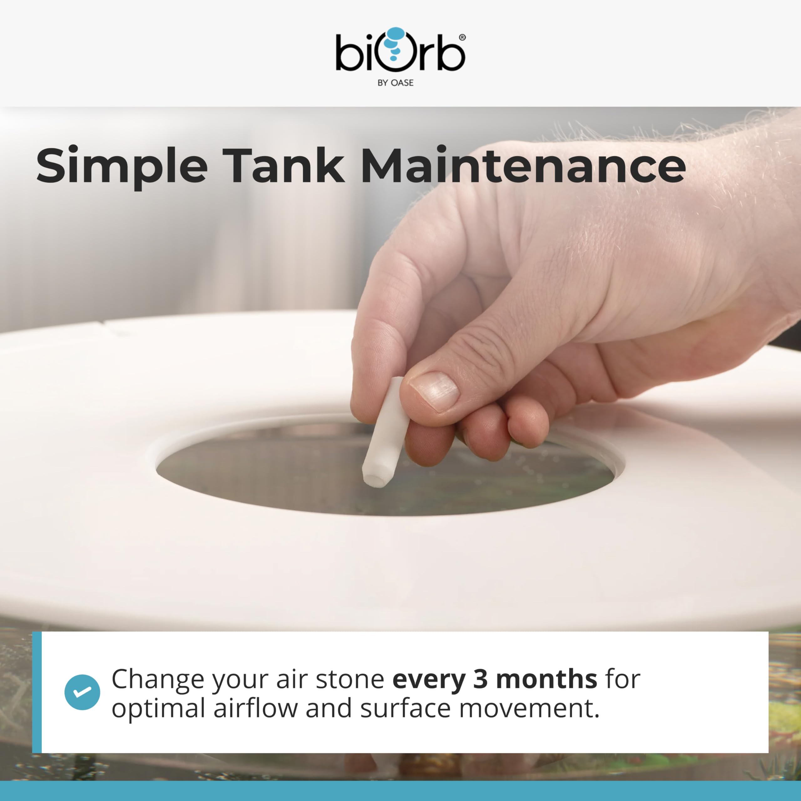 biOrb Air Stone - Essential Aeration for Consistent Oxygen Circulation | 3.5 x 1 cm 7