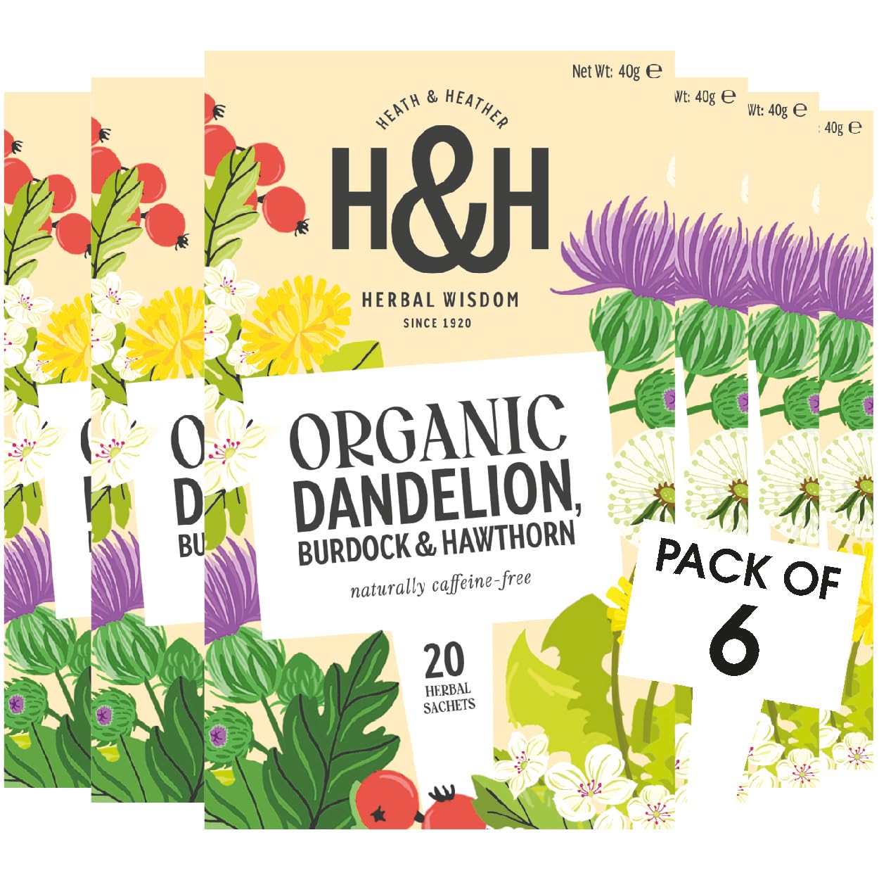 Heath & Heather - Organic Dandelion, Burdock & Hawthorn Tea Herbal Infusion 1
