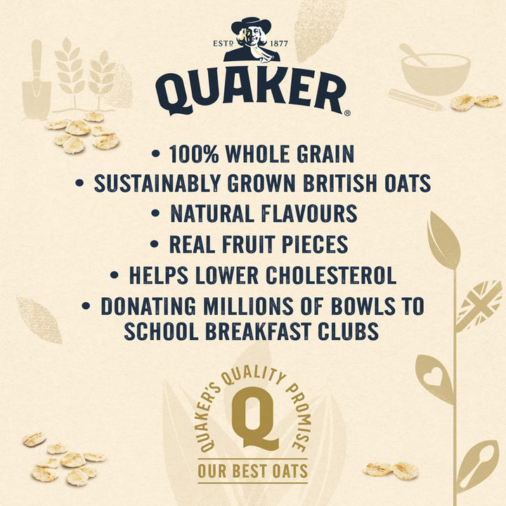 Quaker Oat So Simple Heaps of Fruit Banana and Strawberry Flavour Porridge