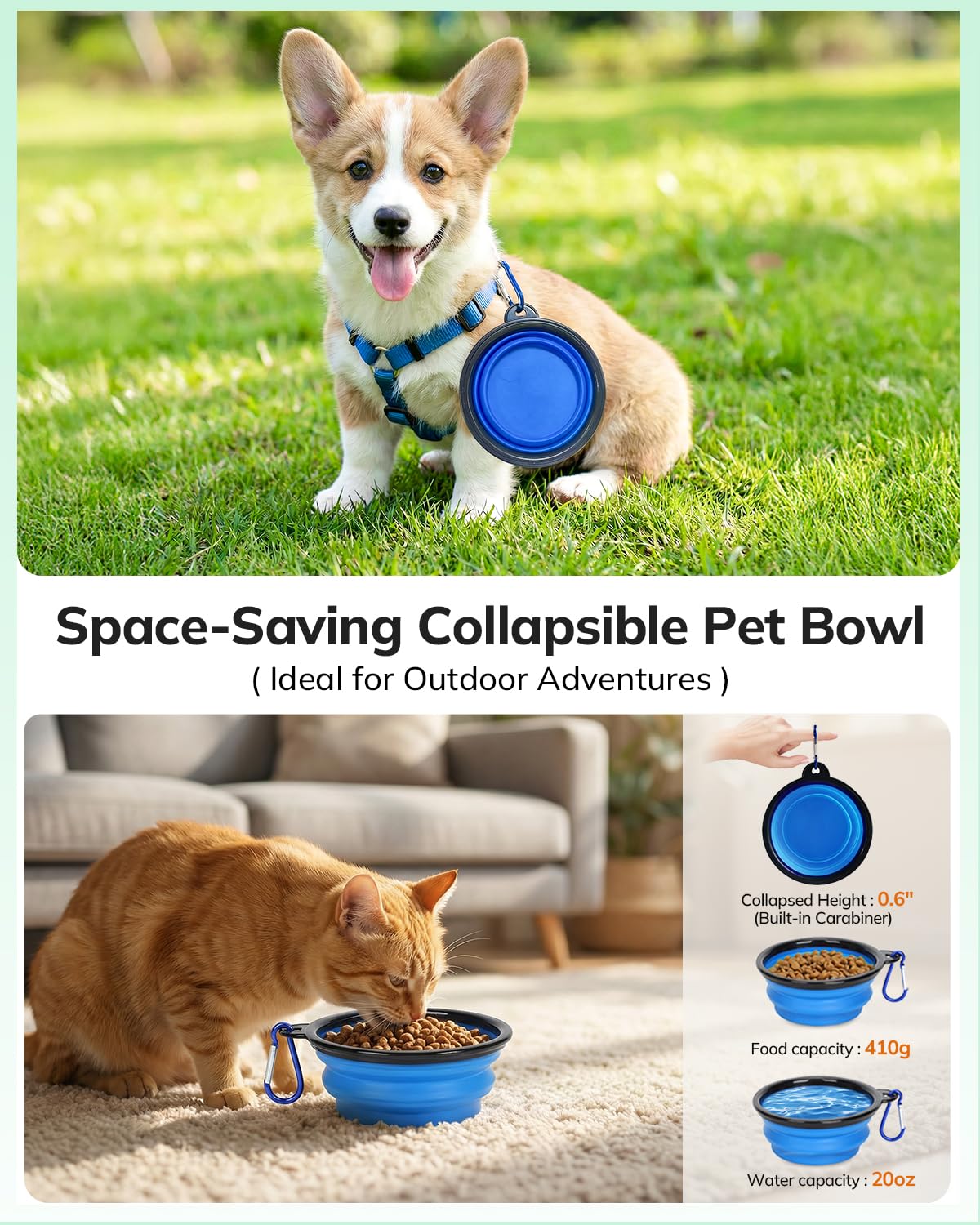 Morpilot Soft-Sided Pet Carrier - Airline Approved, Breathable, Turquoise | 47x32x36cm 7