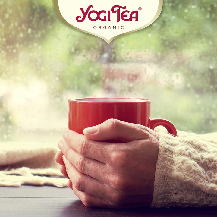 Yogi Tea - Sweet Chai Organic Herbal Tea, Caffeine Free, Blend of Anise, Fennel & Liquorice, 102 Tea Bags (6 x 17)