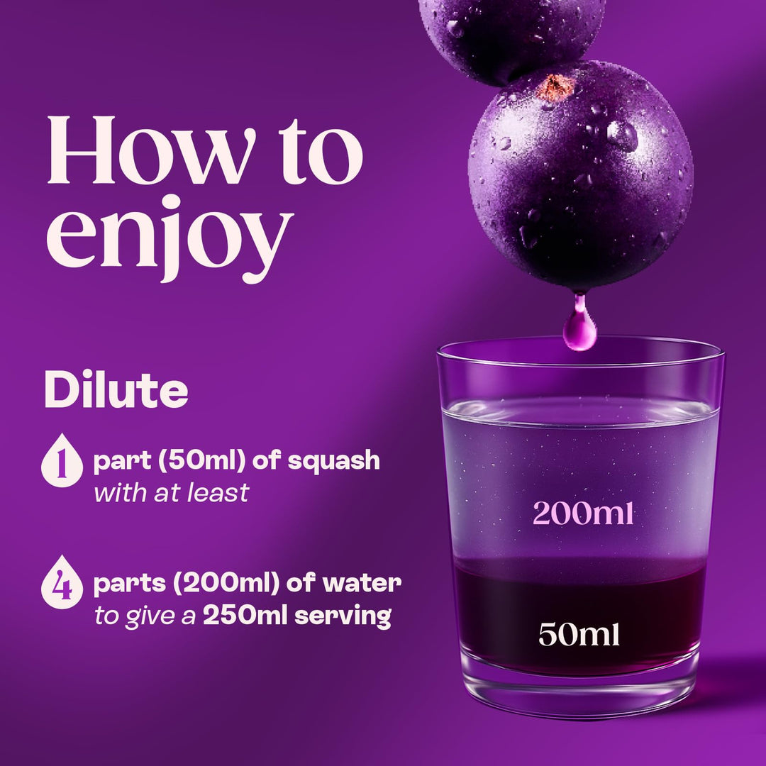 Ribena - Blackcurrant Squash No Added Sugar 1.5L