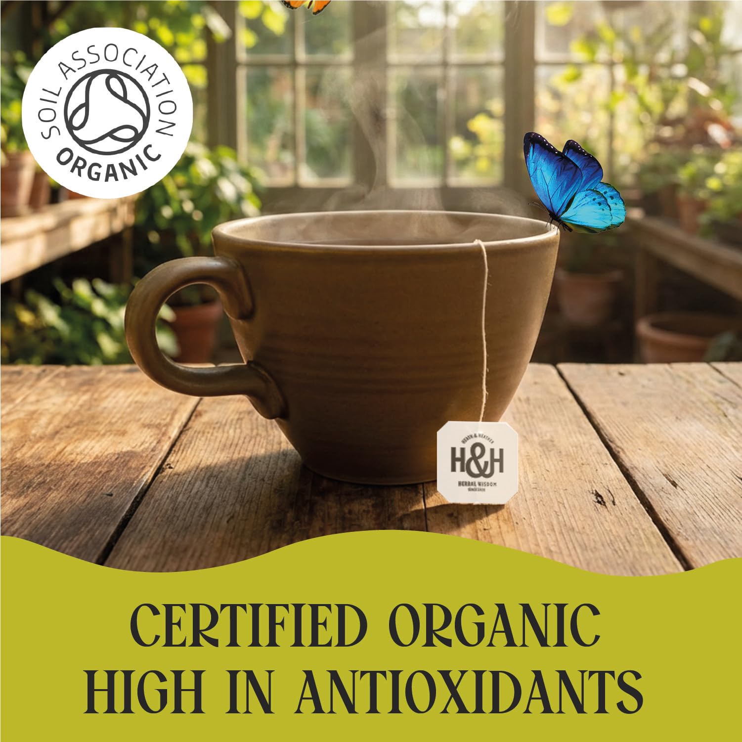 Heath & Heather Organic Nettle Tea - 20 Count Teabags | Detox & Immunity Support | Caffeine-Free 5
