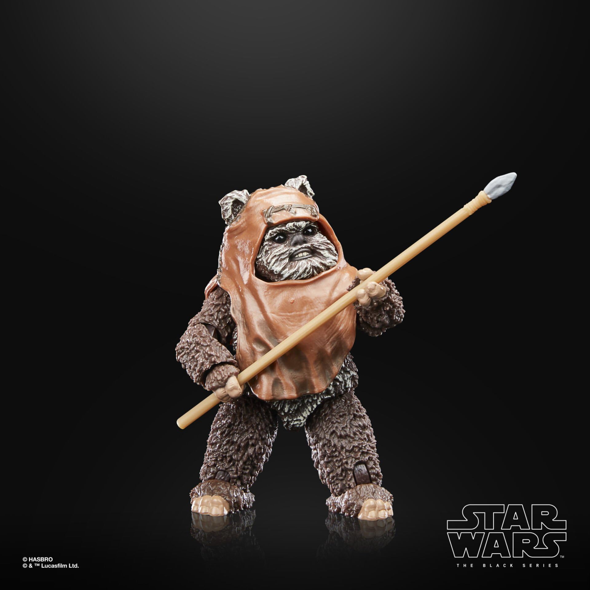 Hasbro Star Wars The Black Series Wicket Action Figure - 6-Inch Collectible from Return of the Jedi 16