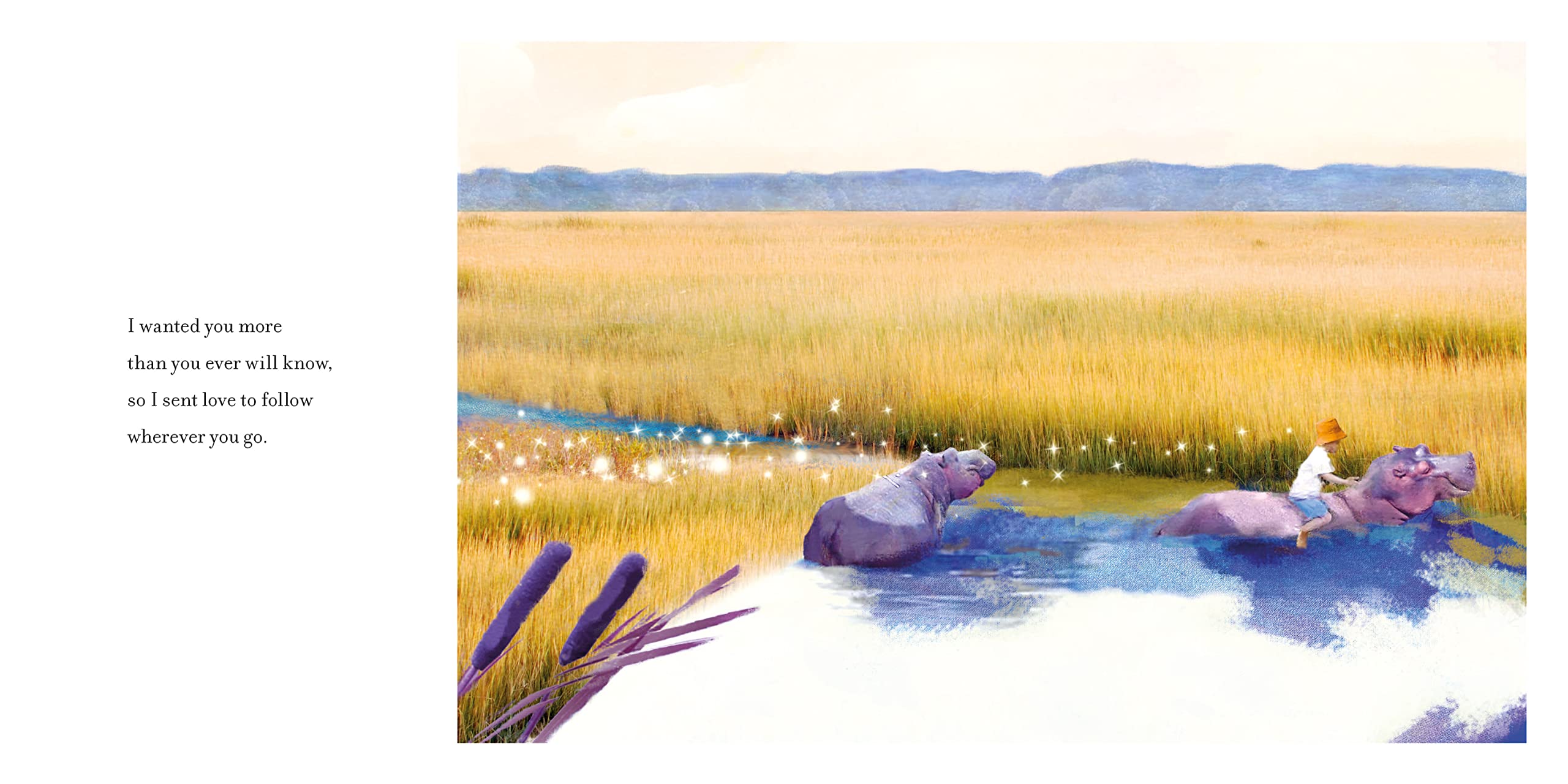 Nancy Tillman - Wherever You Are My Love Will Find You | Board Book Picture Book 2