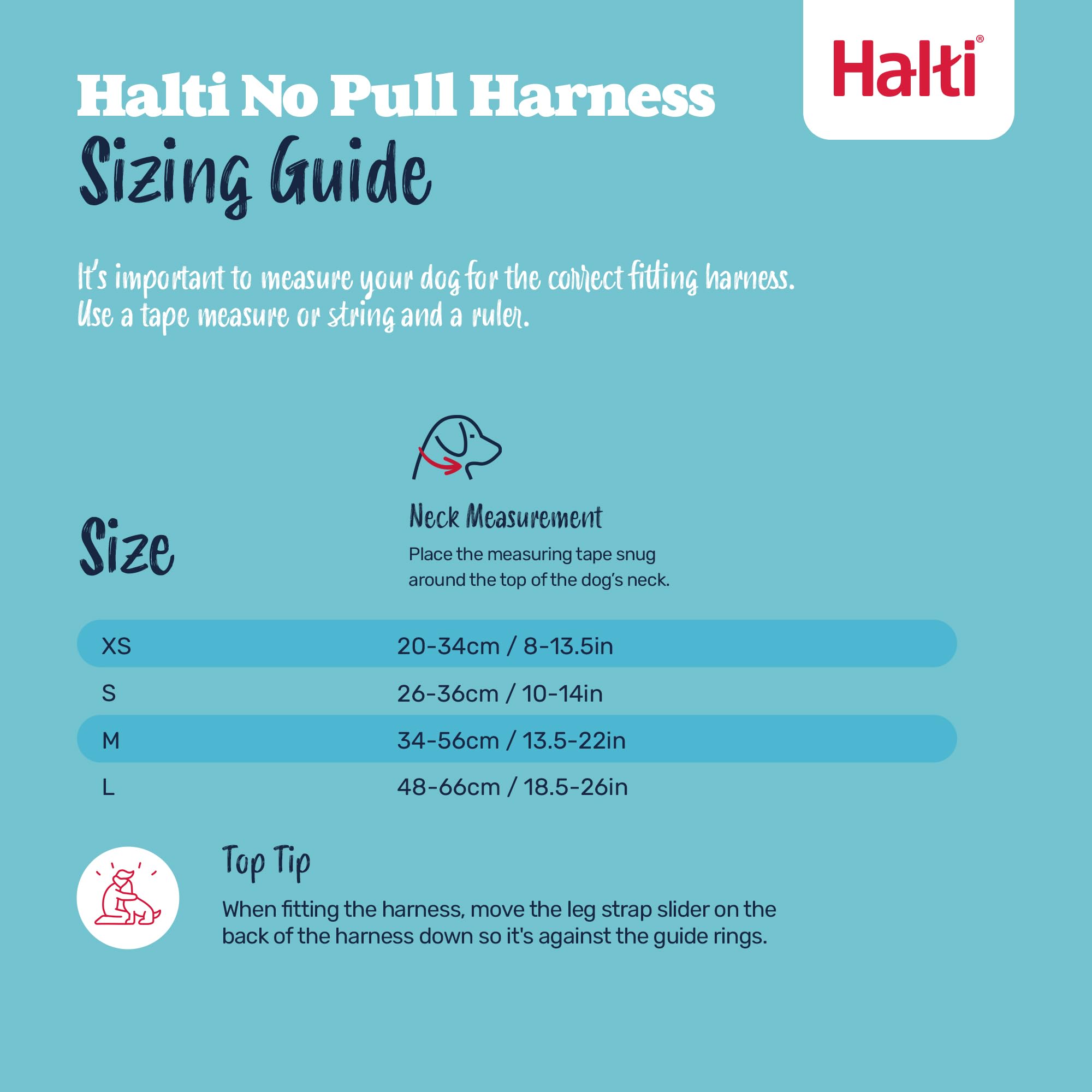 Halti No Pull Dog Harness - Stops Pulling, Comfortable Fit | Size M, Purple 5