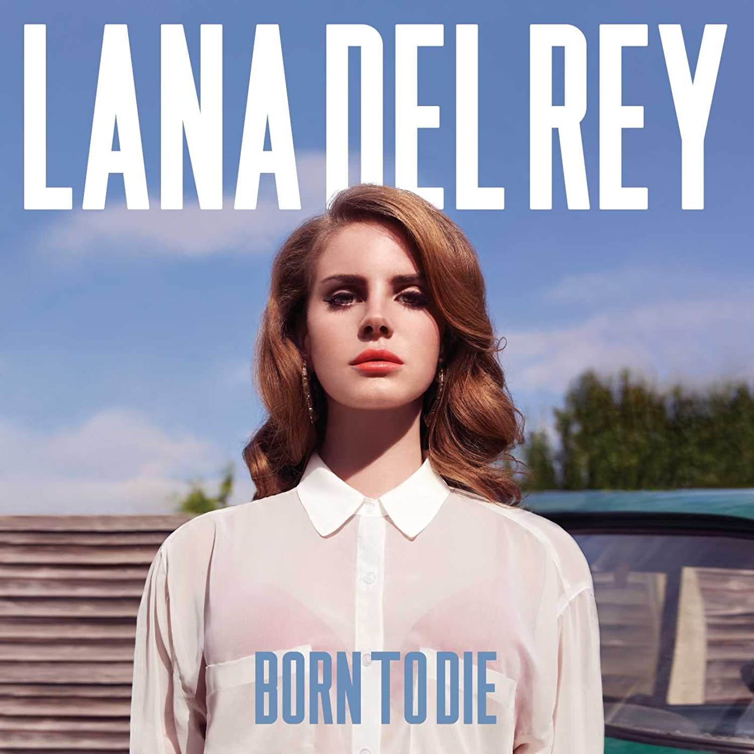 Lana Del Rey - Born To Die [2LP Vinyl]