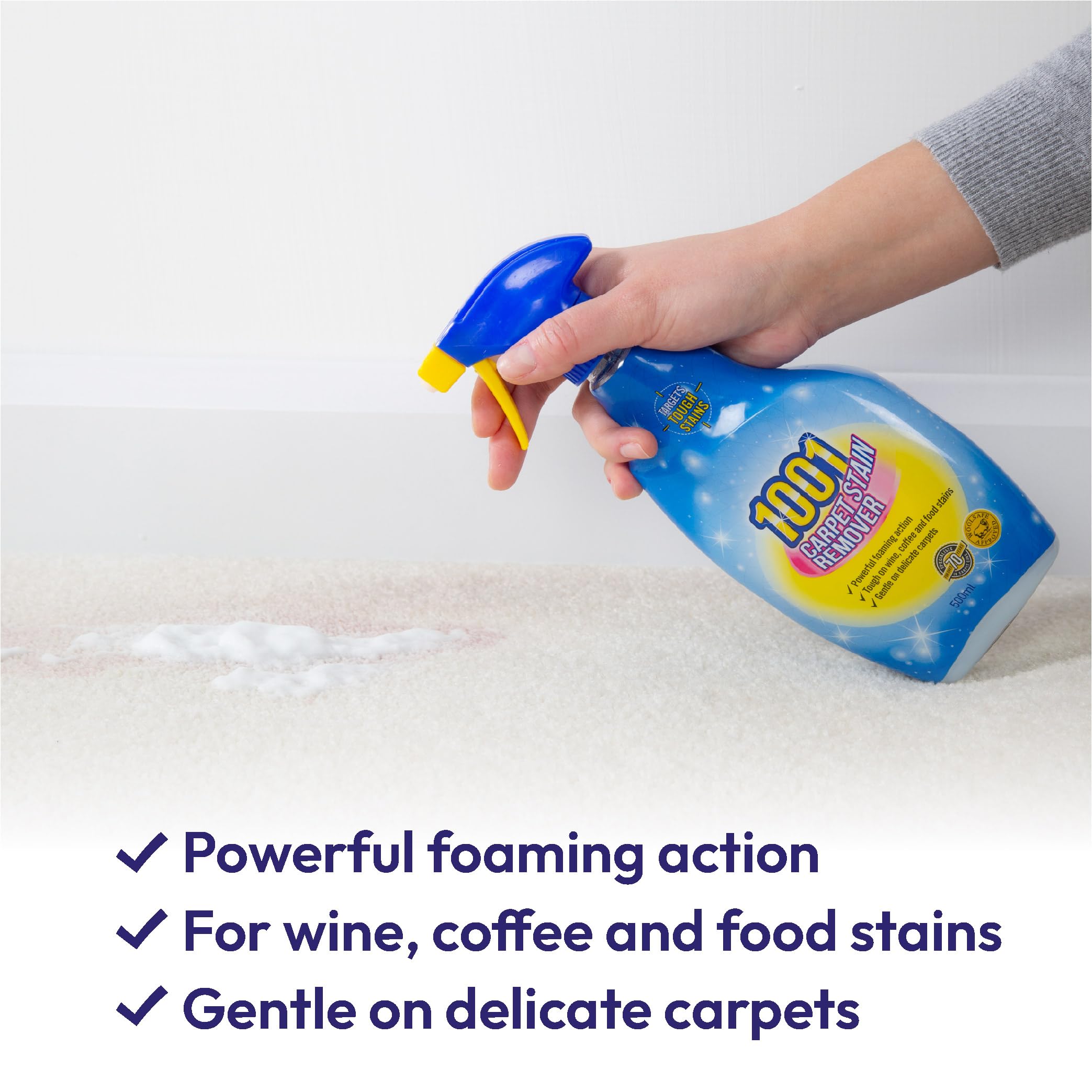 1001 Carpet Stain Remover Spray - Tough on Stains, Gentle on Carpets | 500ml 3