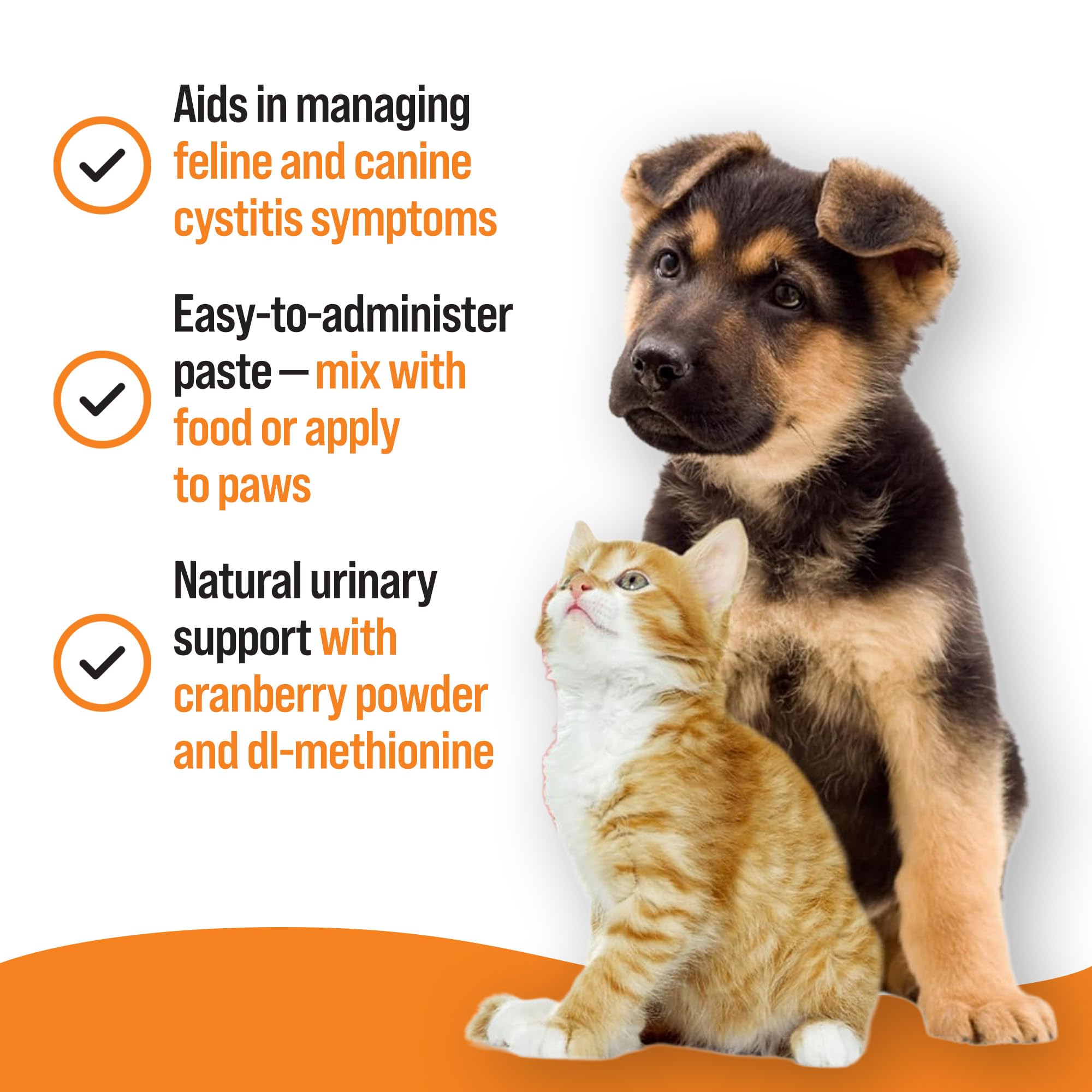 VETIQ Urinary Care Paste Supplement for Cats & Dogs with Cranberry | Supports Healthy Urinary pH | 100 g 3