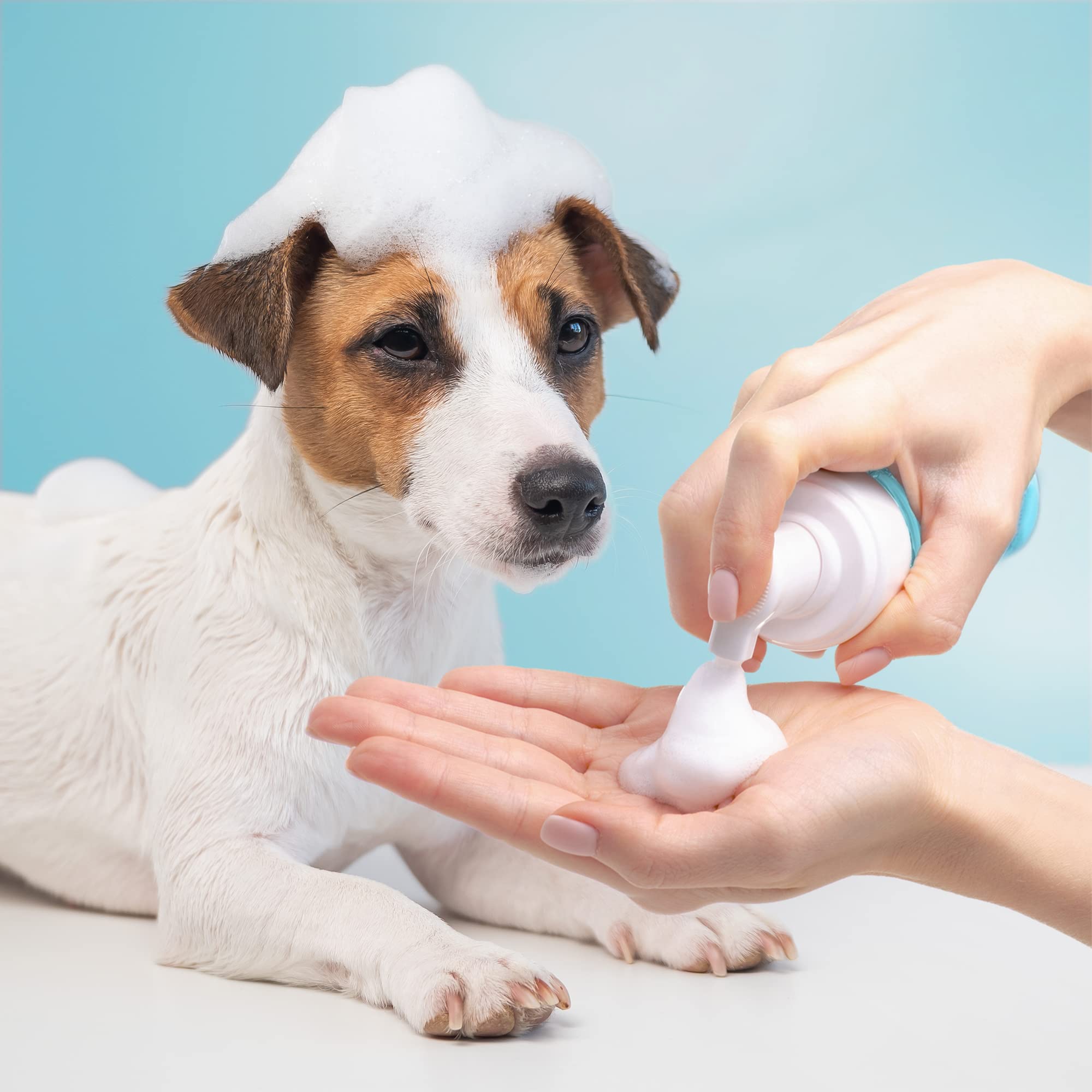 Wahl No Rinse Foam Pet Shampoo - Quick Coat Refresh with Coconut Scent | 200 ml Foam 6
