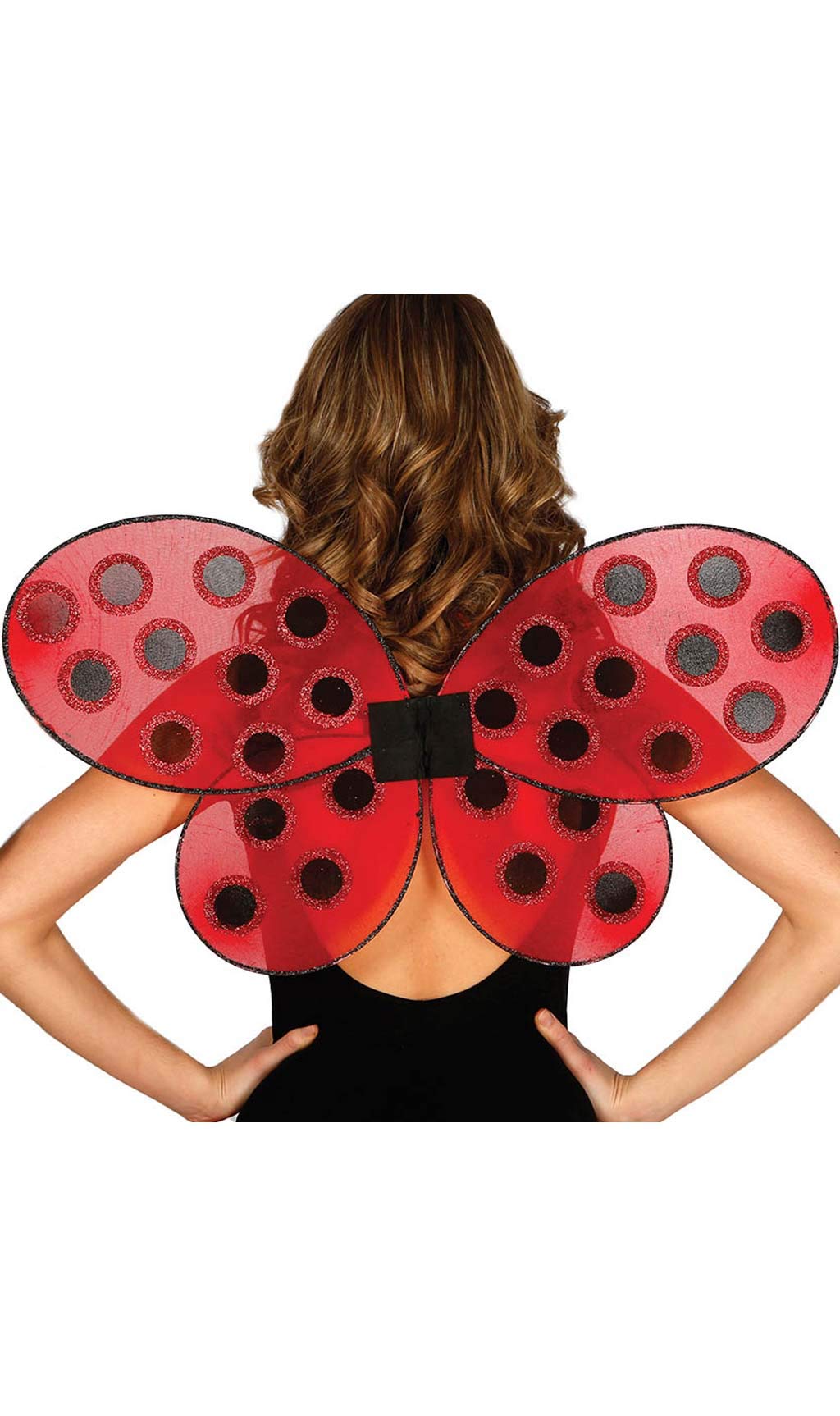 Guirca Party Beetle Wings 63 x 41 cm Model 18607 1
