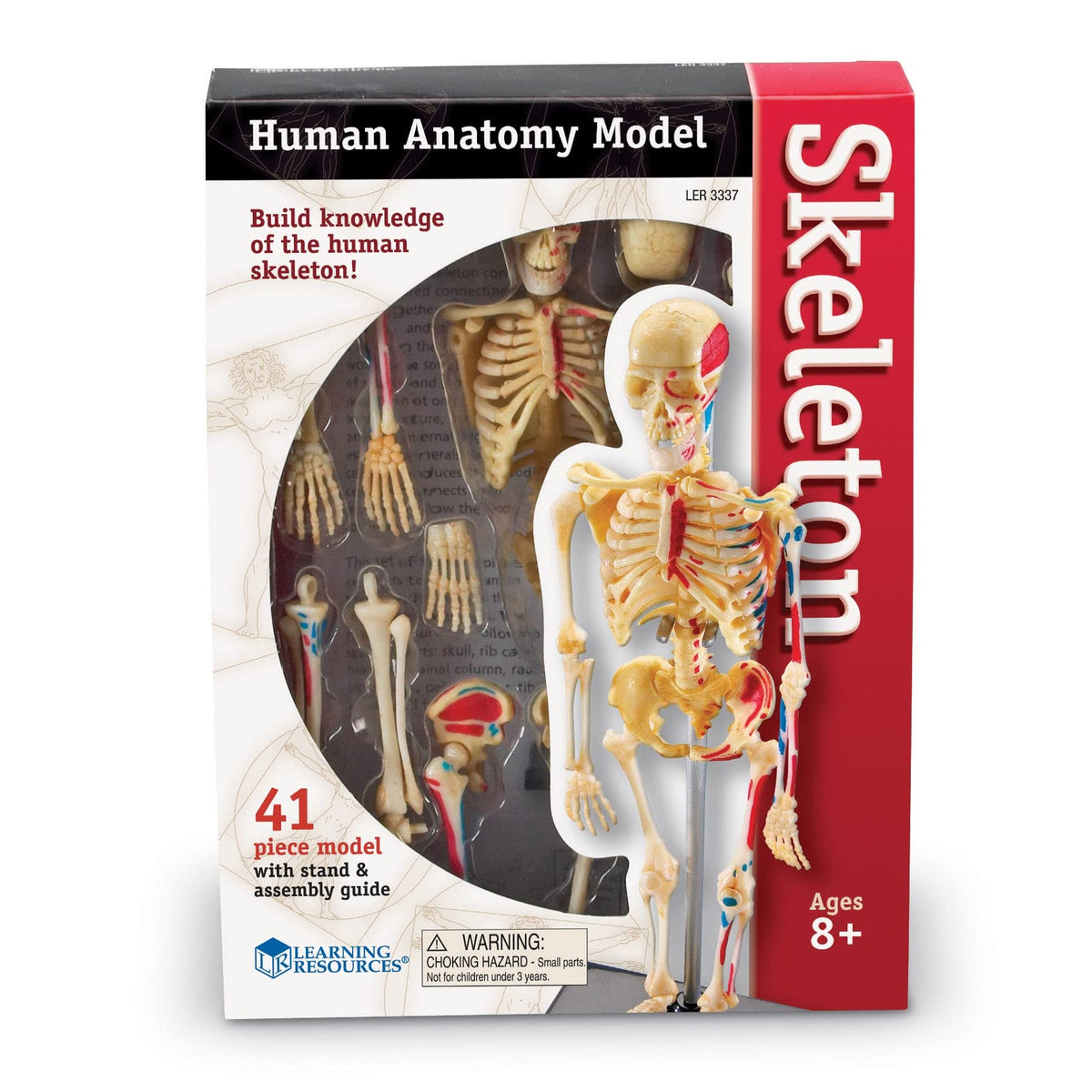 Learning Resources Skeleton Model - 41-Piece Miniature Model, 23cm, Ages 8+