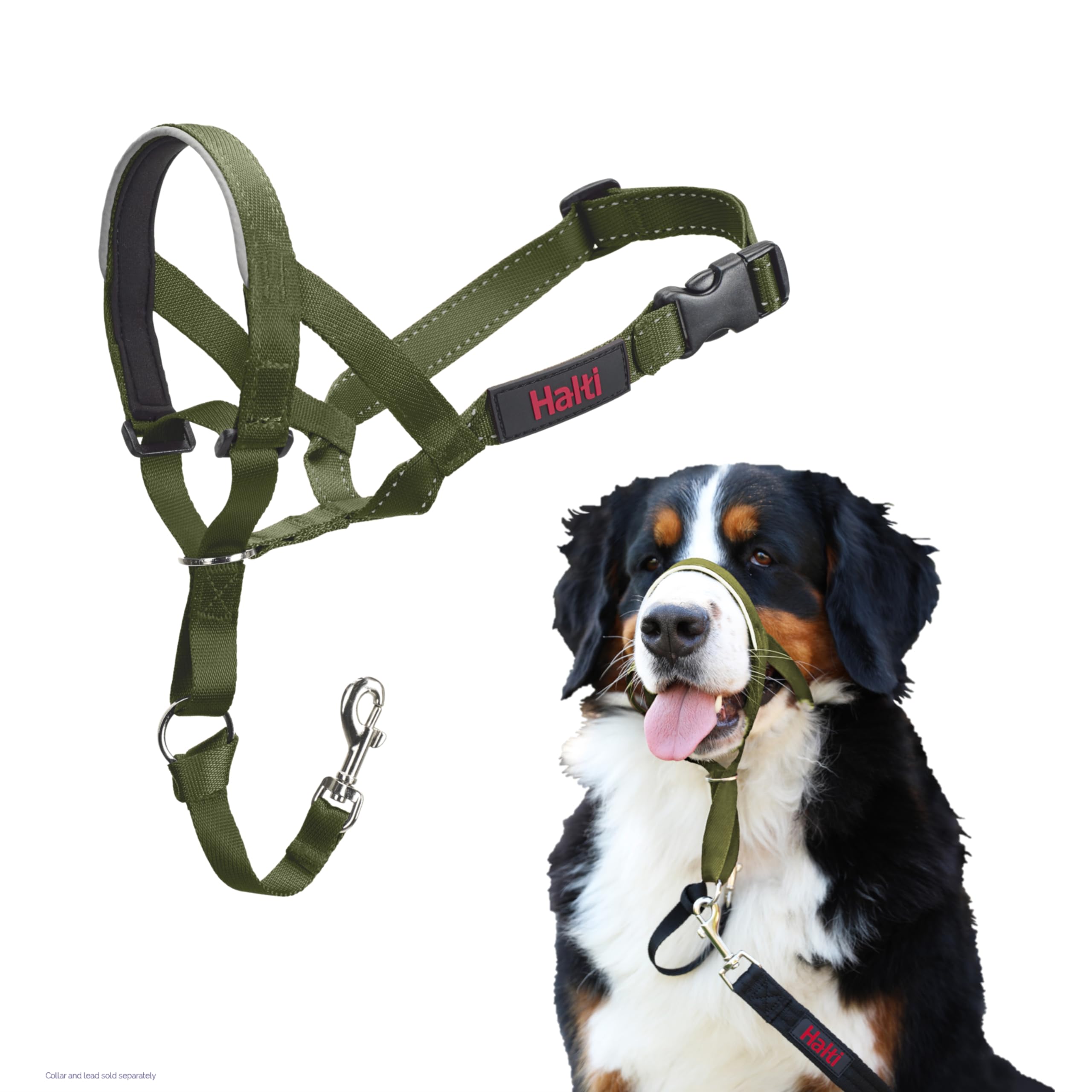 Halti Headcollar - Stops Pulling | Size 4 Large Dog | Forest Green Nylon