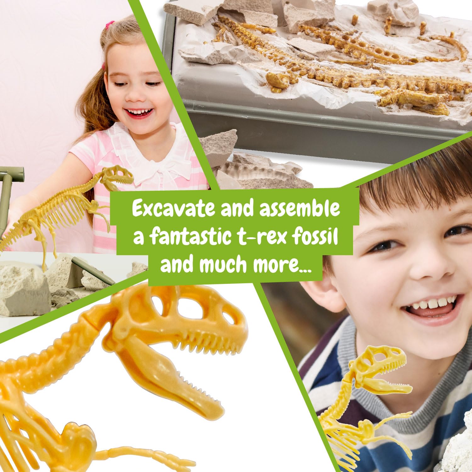 T Rex Fossil Hunting Kit - Excavate & Assemble 15-Piece Dinosaur Fossil - Science4you Age 6+ 11