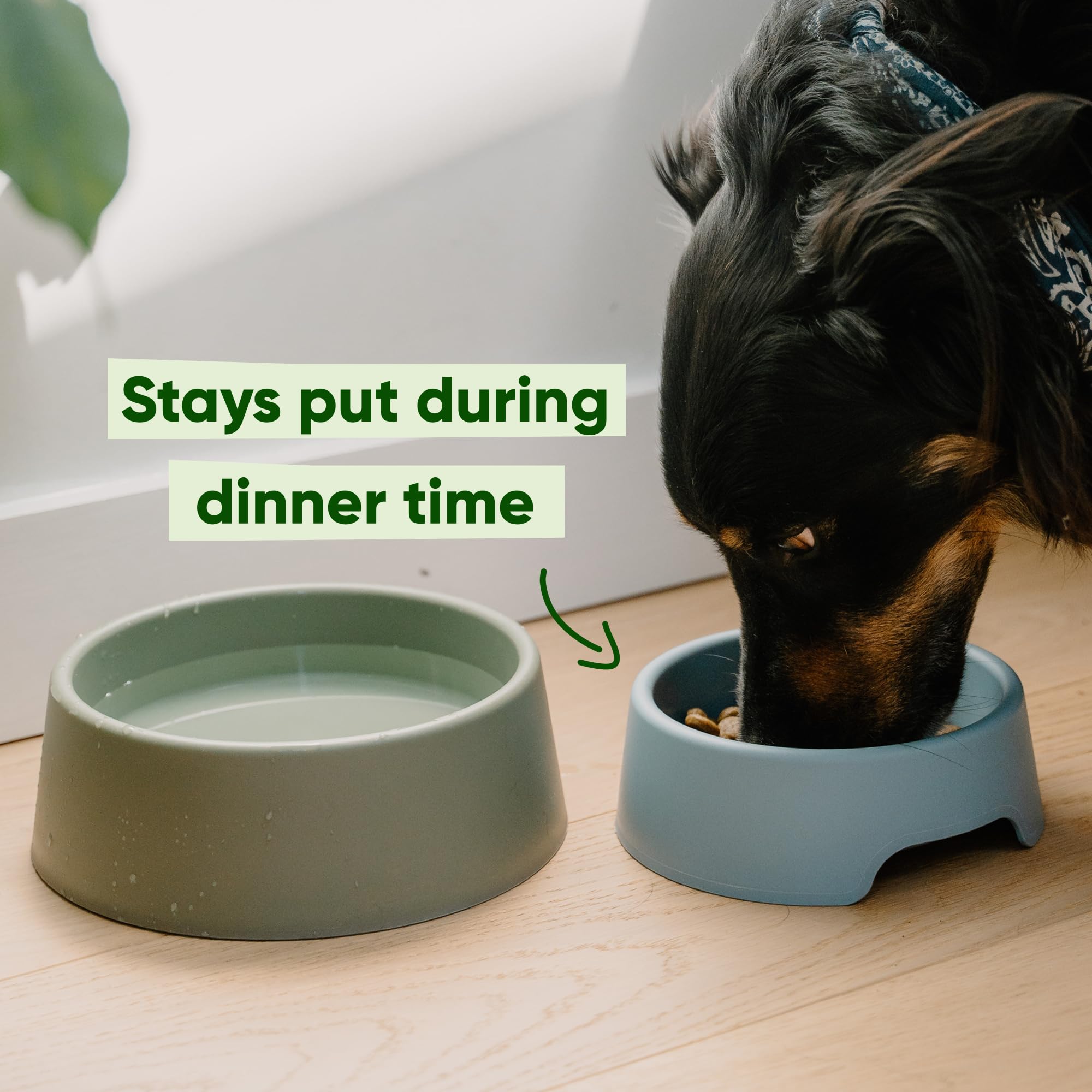 Beco Dog Bowl - Steady Food & Water Bowl | Large | Recycled Plastic | Non-Slip 4