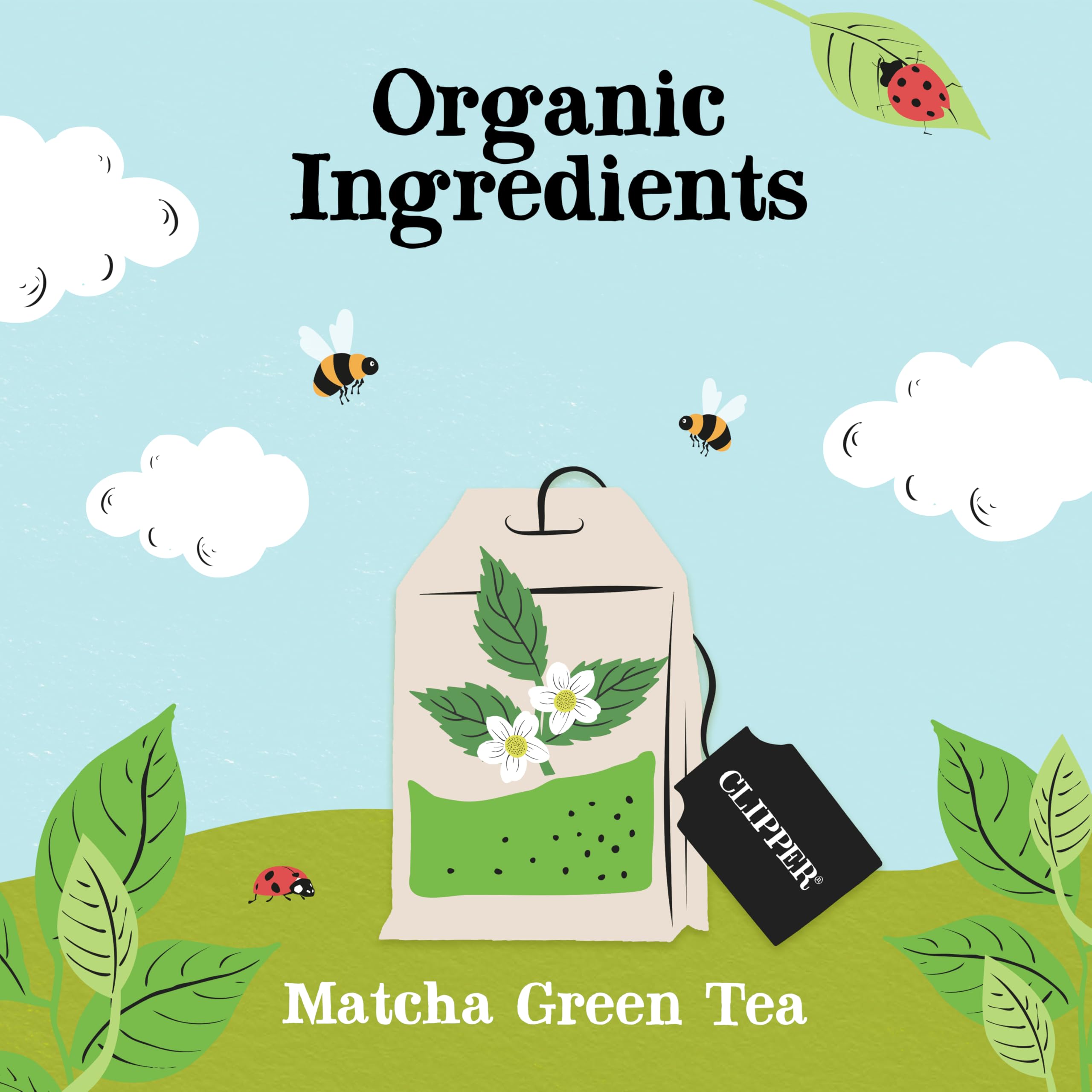 Clipper Organic Green Tea & Matcha Tea Bags - 80 Count | Antioxidant Rich | Fairtrade 3