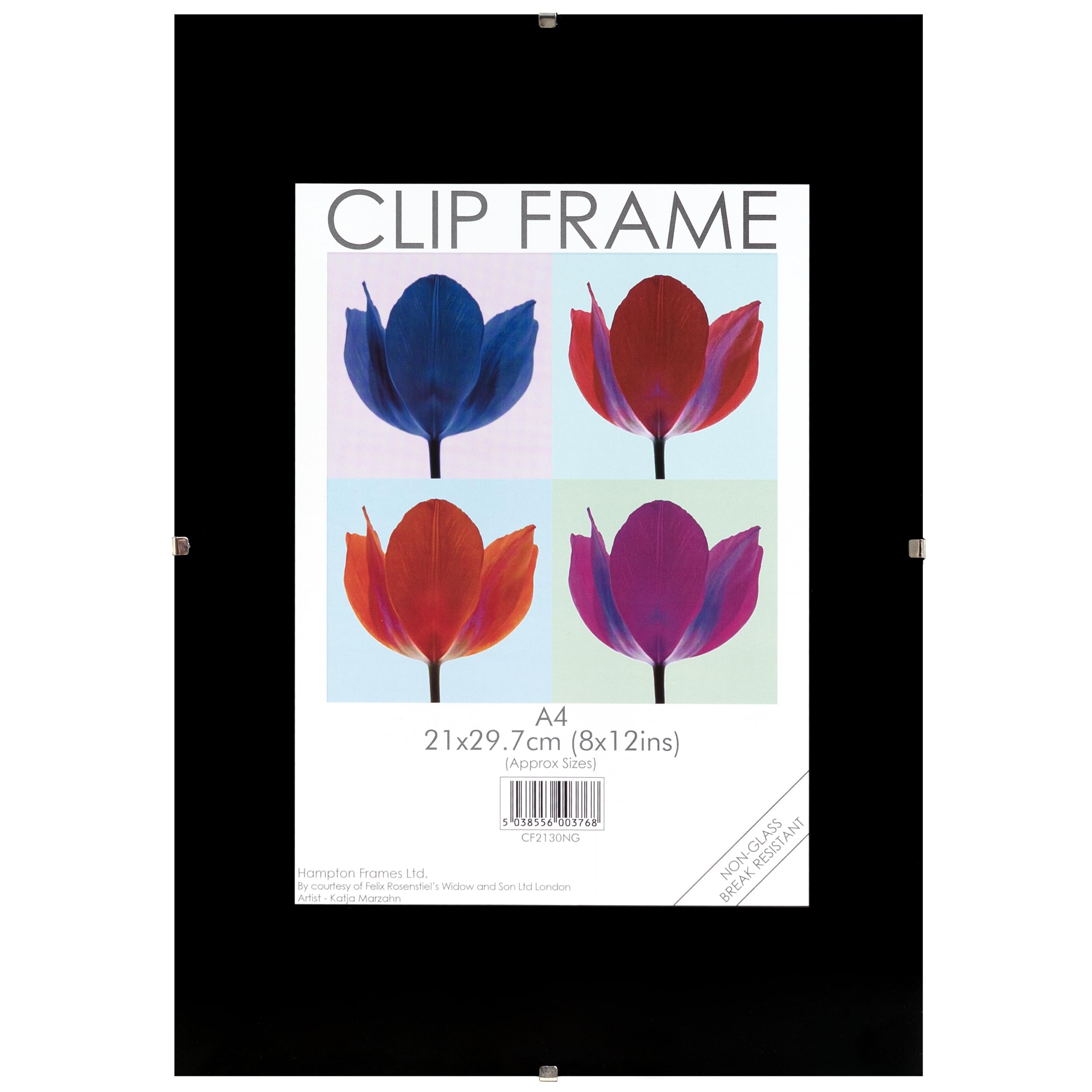 Hampton Frames CLIP Photo Poster Display Clip Frame - Frameless A4 (21x30cm) Clear Plastic CF2130NG