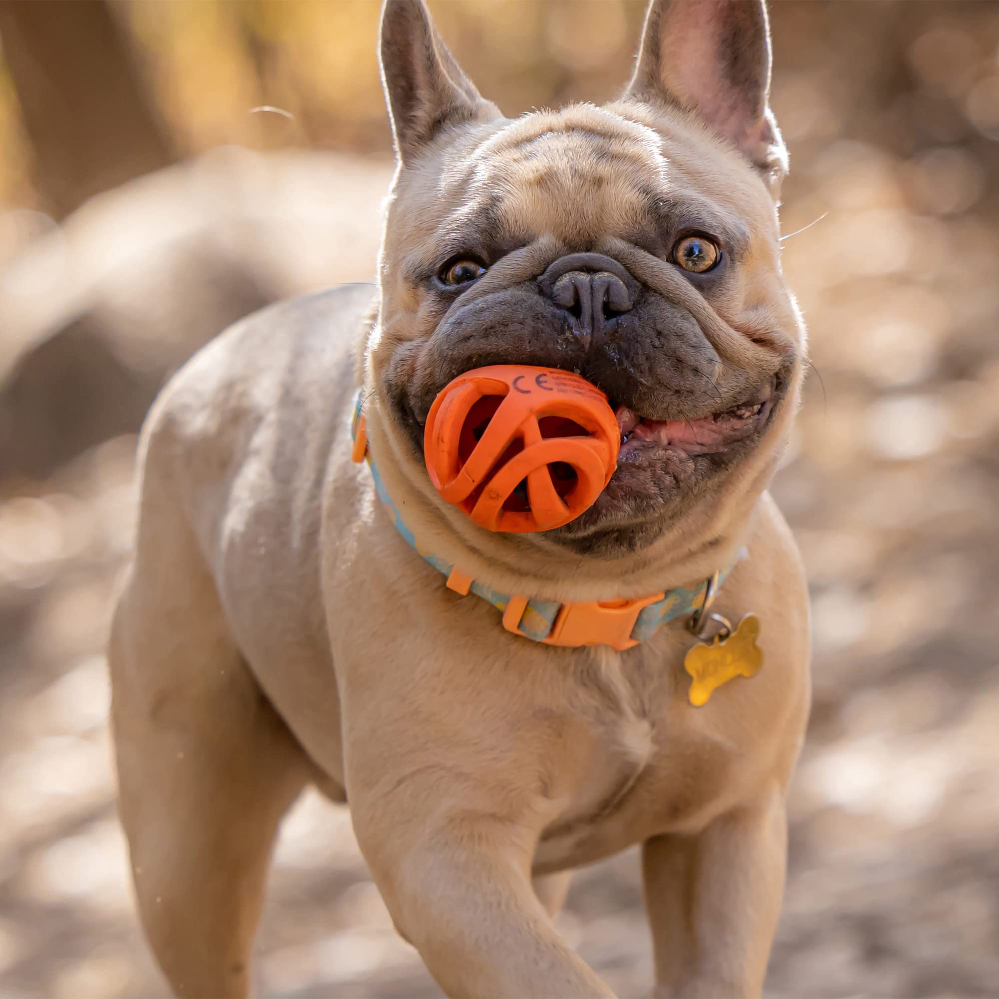 Chuckit! Breathe Right Fetch Ball - Medium Size, Natural Rubber, Floats | Perfect for Fetch 3