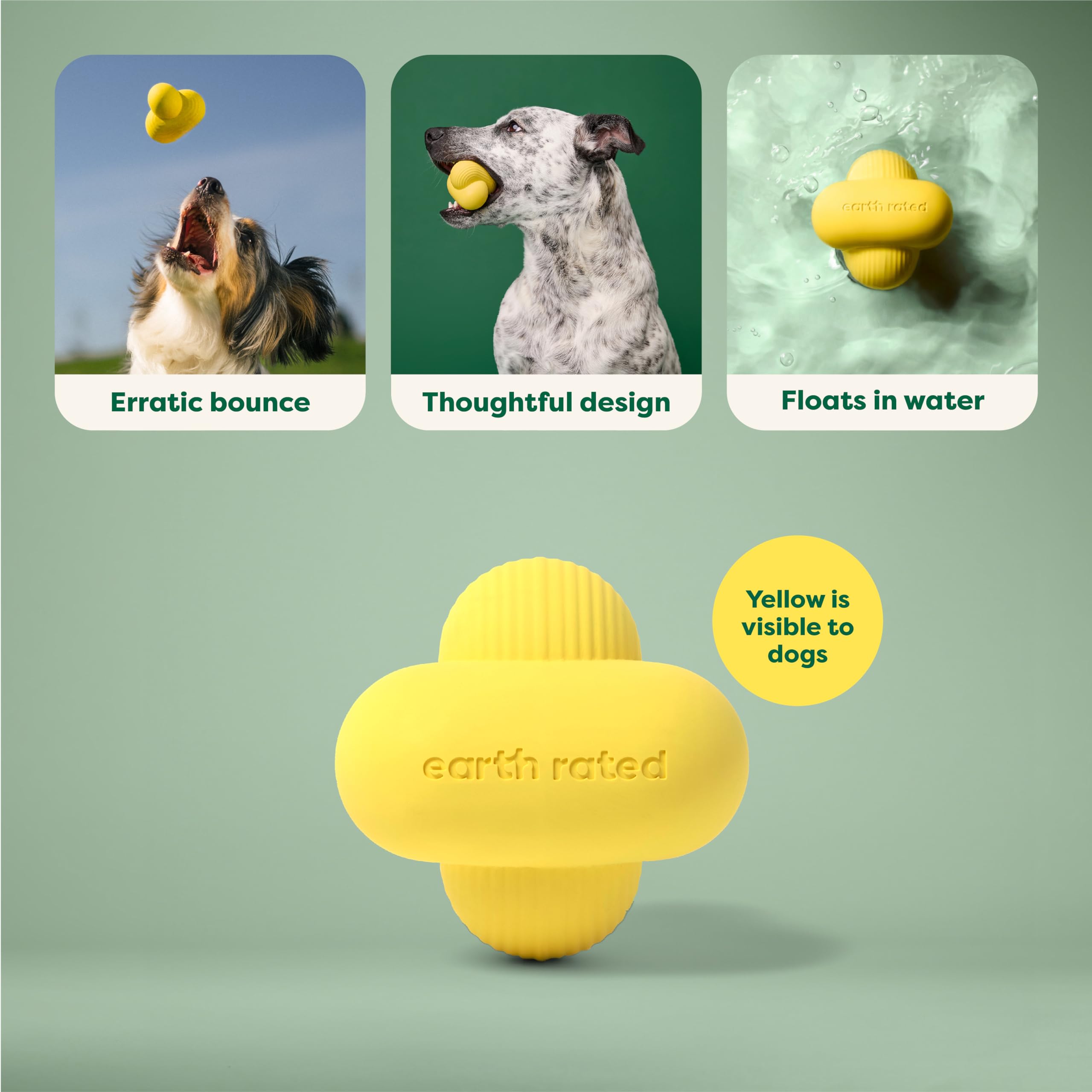 Earth Rated Dog Ball - Interactive Fetch Toy with Unpredictable Bounce | Natural Rubber | Medium Size 2